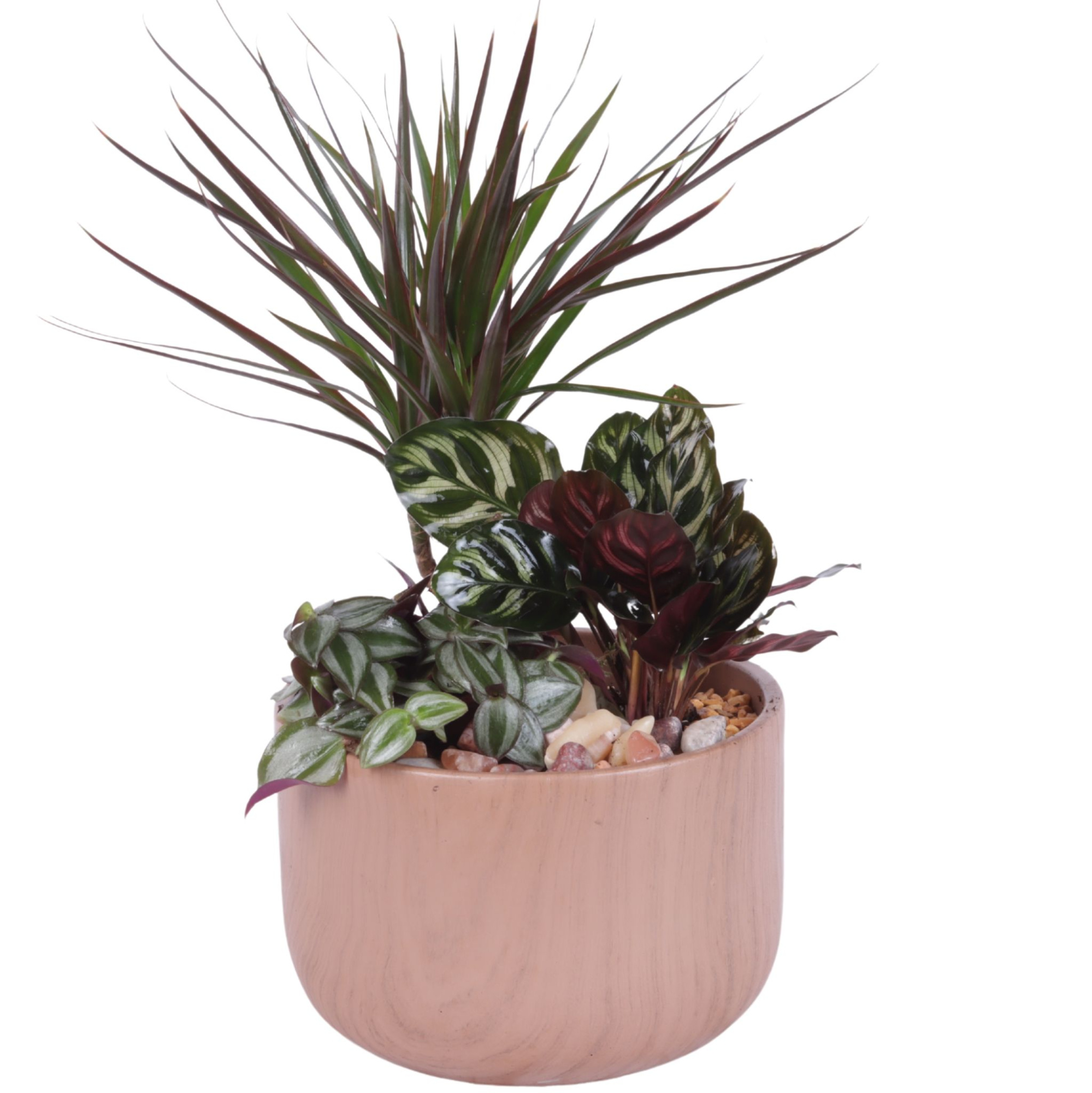 Yearround Arr. Indoor Ceramic Naturel Touch N565 Ø20cm 3PP, D 20 cm