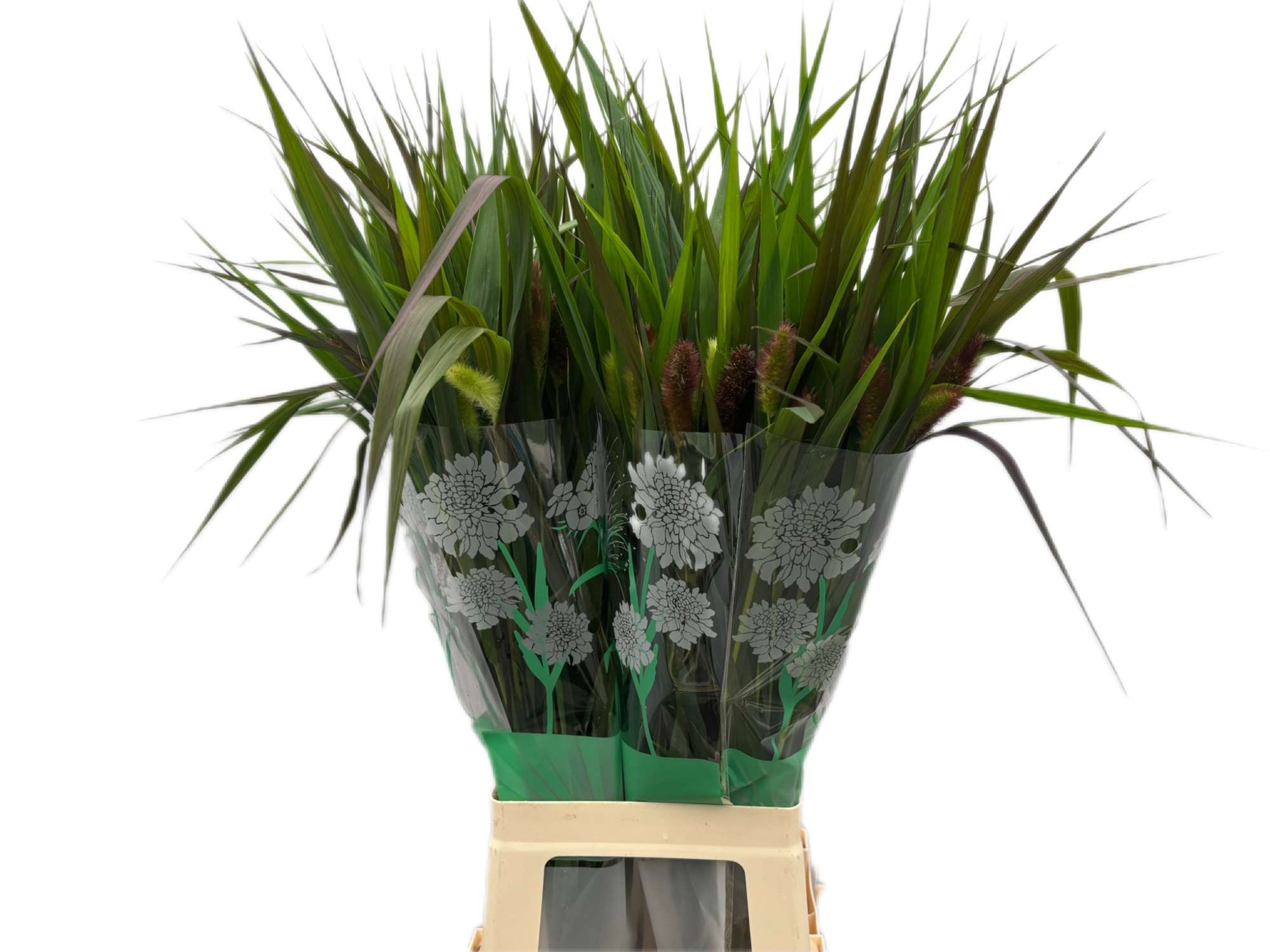 Сетария Италика Рэд Джевел 80, шт.