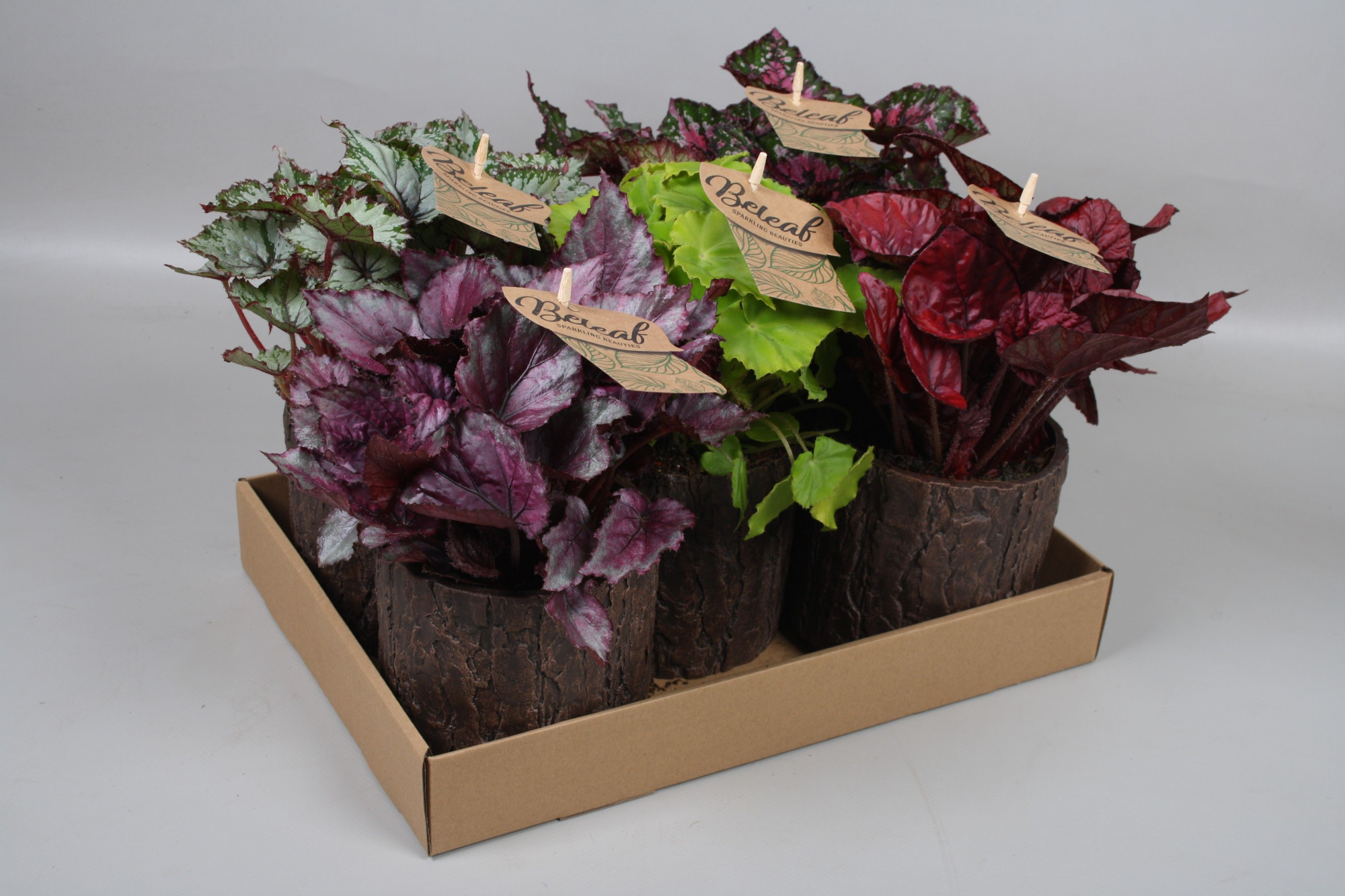 P12 in boomschorspot, D 12 cm