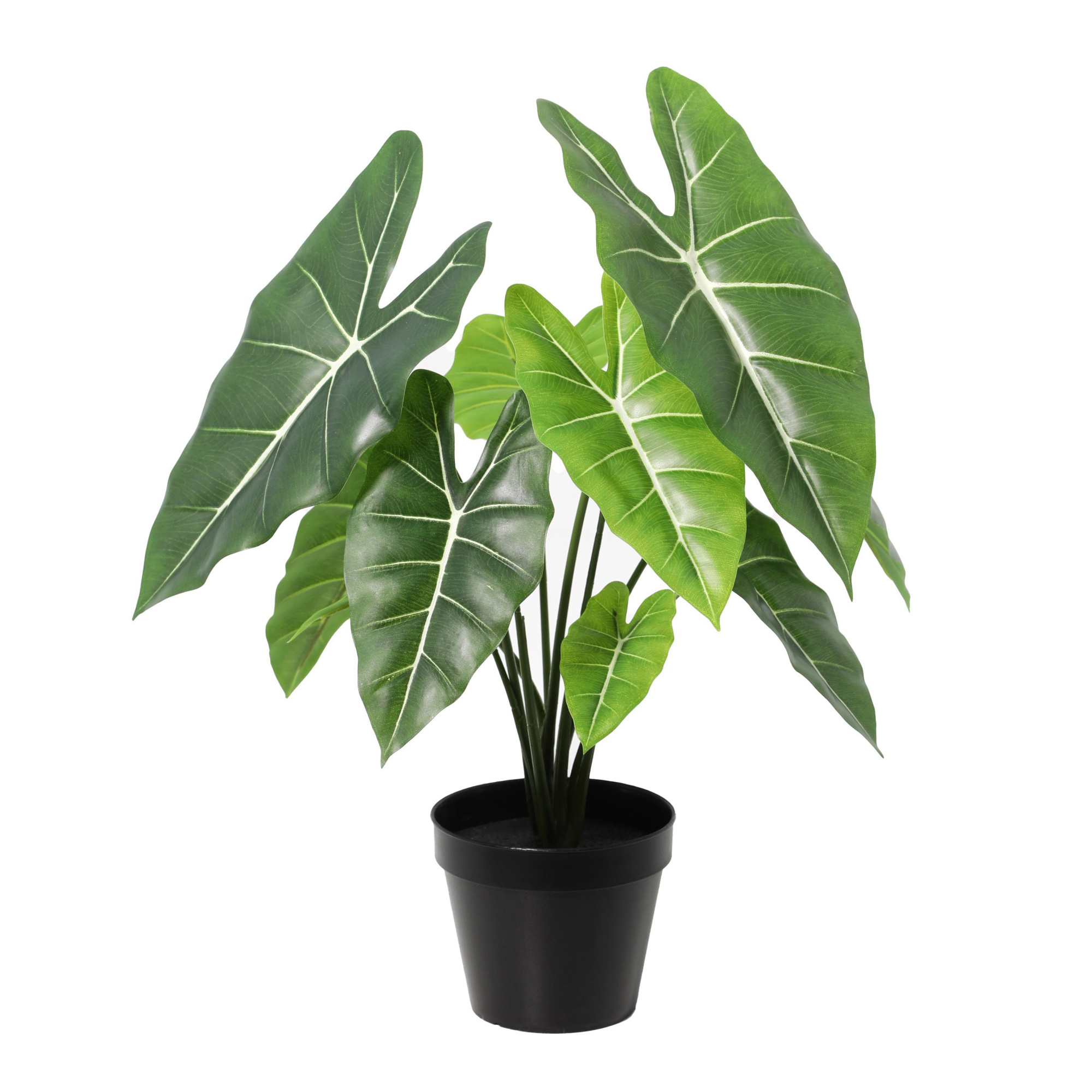 ARTIFICIAL Alocasia - 42cm, D 42