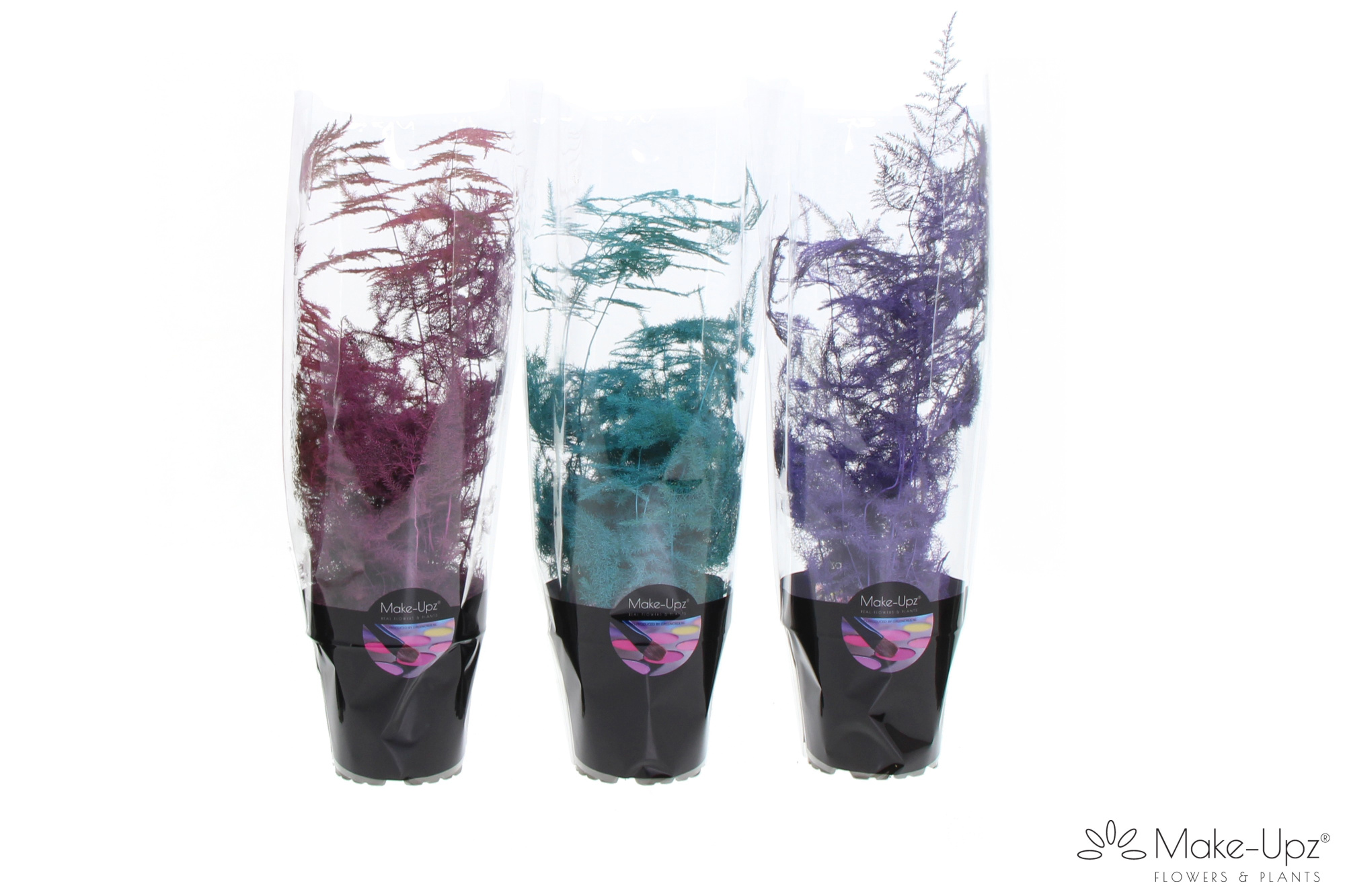 Asp Make-Upz MIx 2 Pink, Aqua en Red, D 12