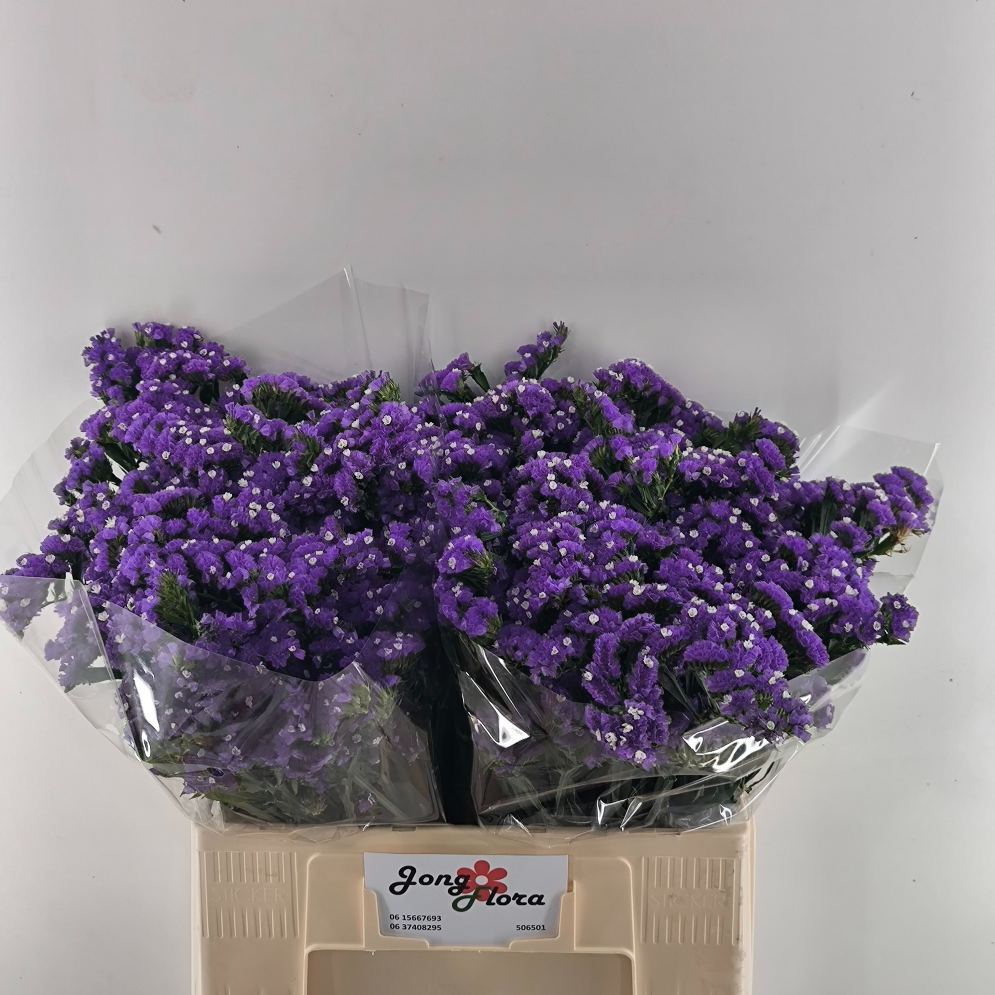 Статица Кристал Дарк Блю 60 (фиолет.), шт.