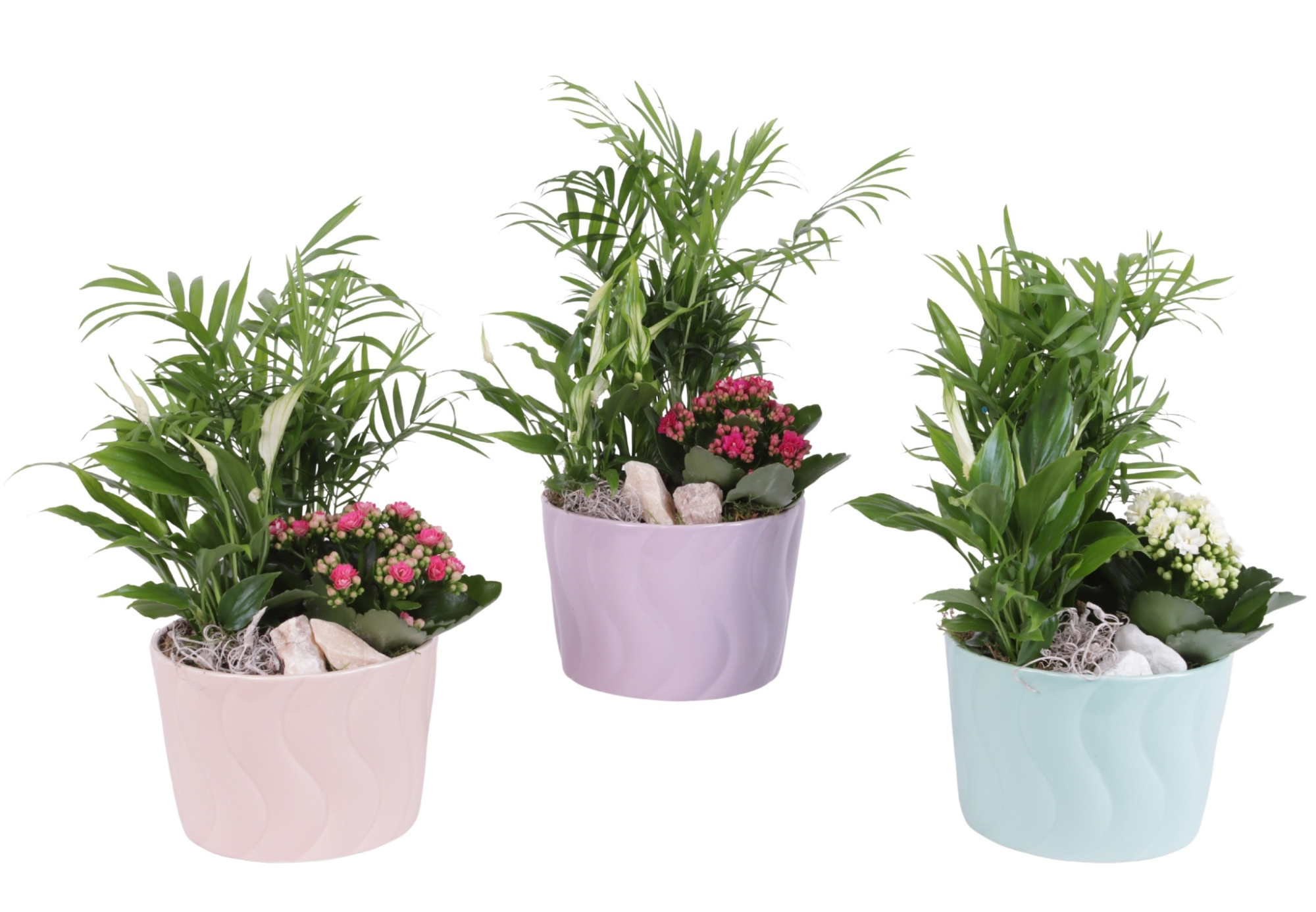 Yearround Arr. Indoor Ceramic Soft Elegance SE662 Ø17cm 3PP, D 17