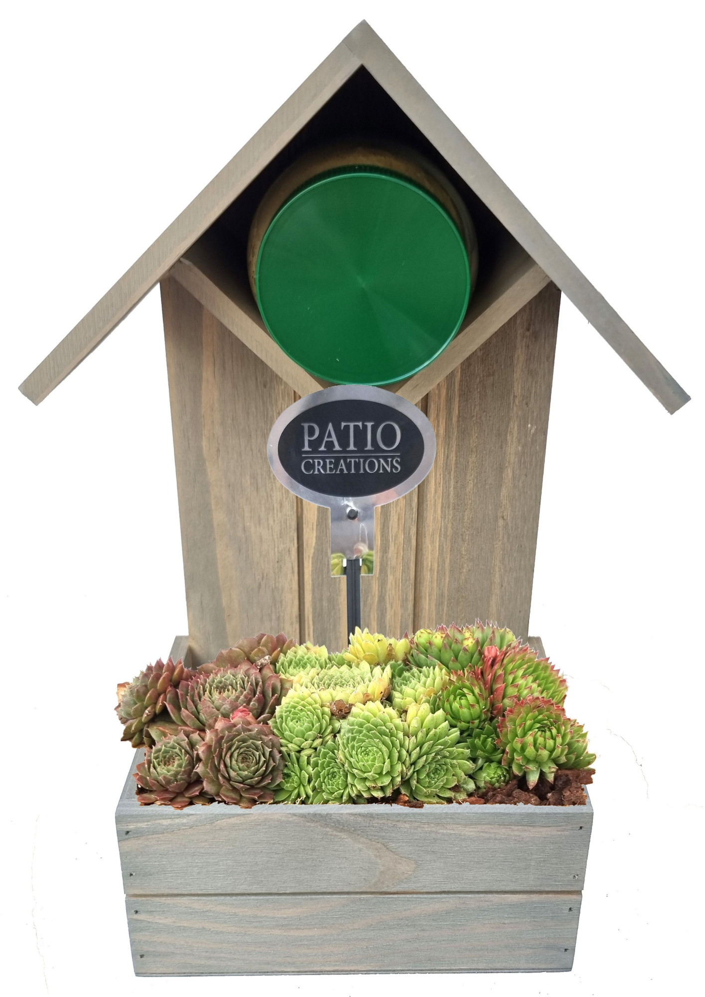 SE807-9001 Sempervivum plantenbak pindakaasvoeder, D 18 cm