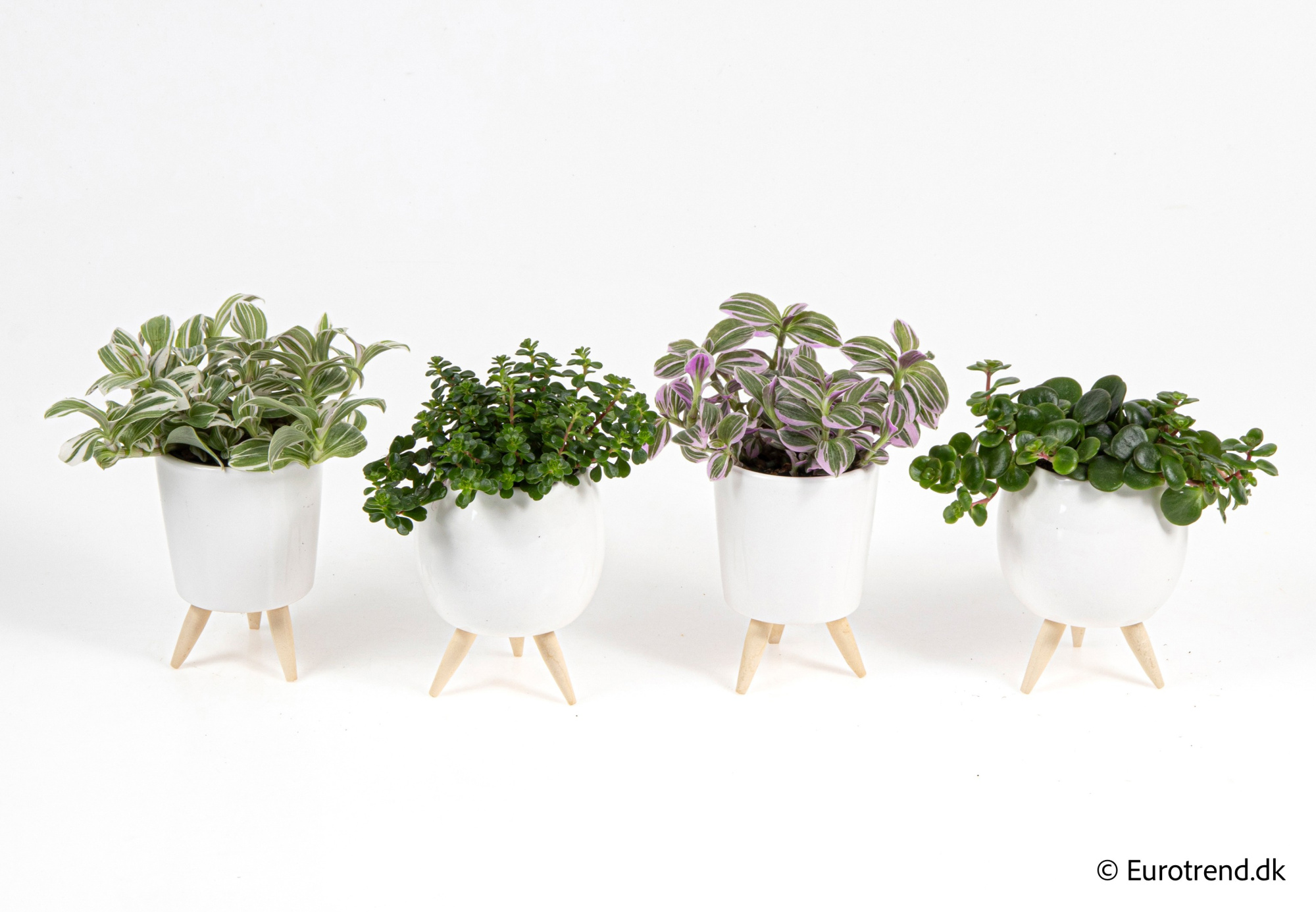 Green mix in New Look ceramic 2026, D 6