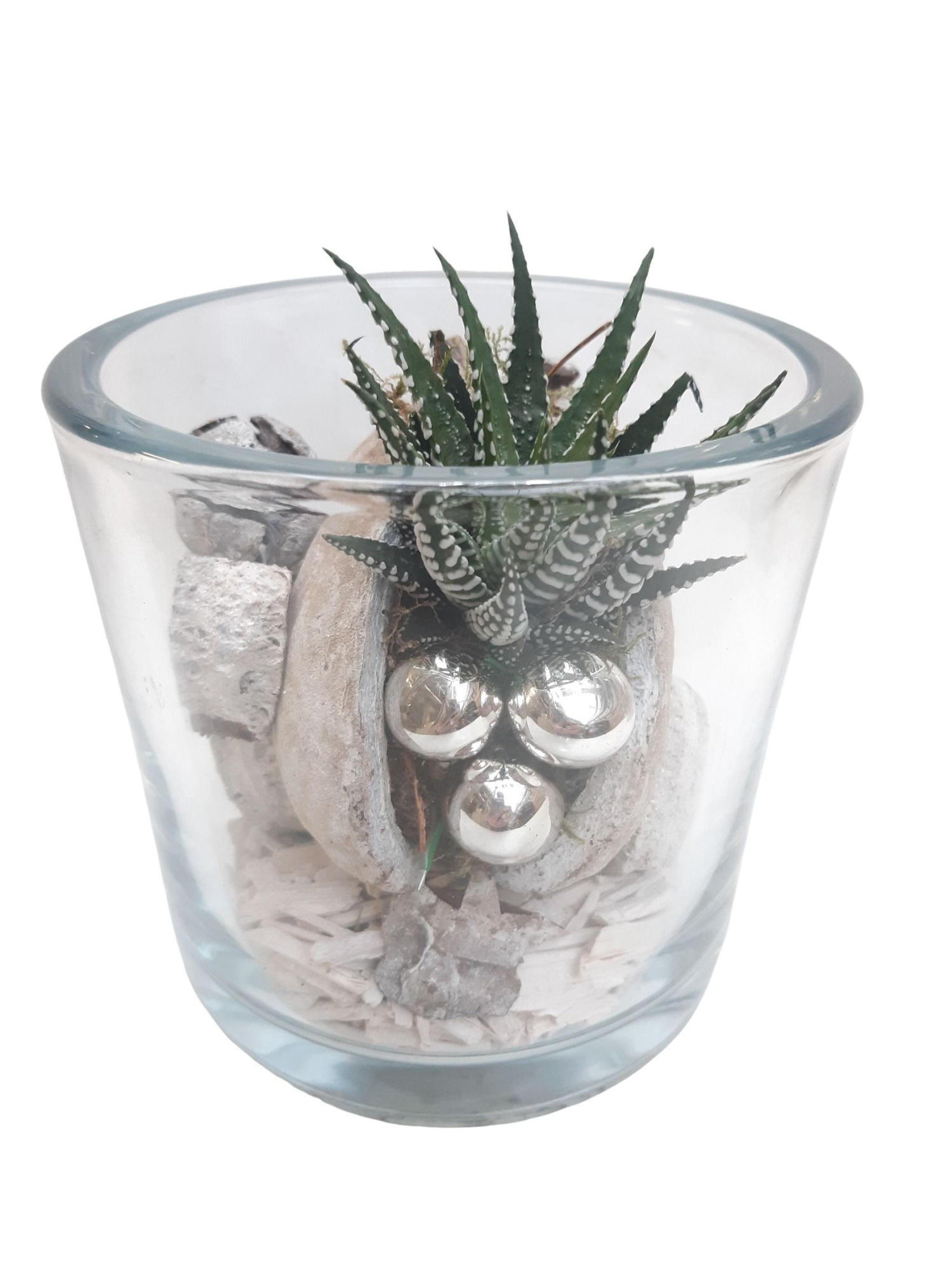 GCI14KST Cil glas dik Hawortia + deco wit KERST, D 14 cm