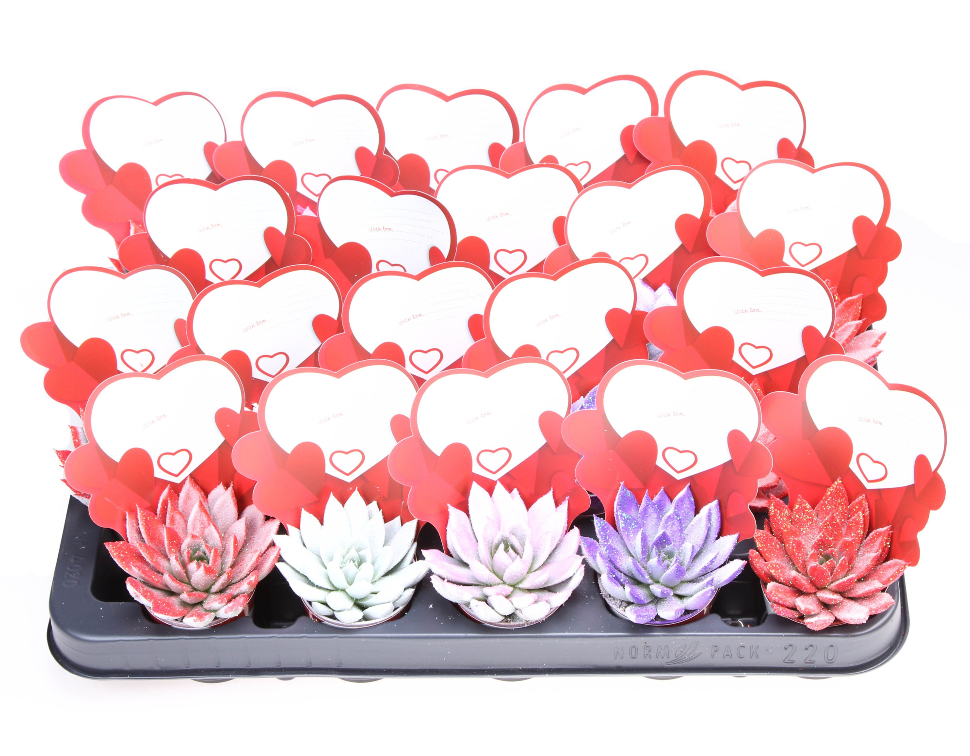 Potcover little love Valentine glitter, D 5,5 cm