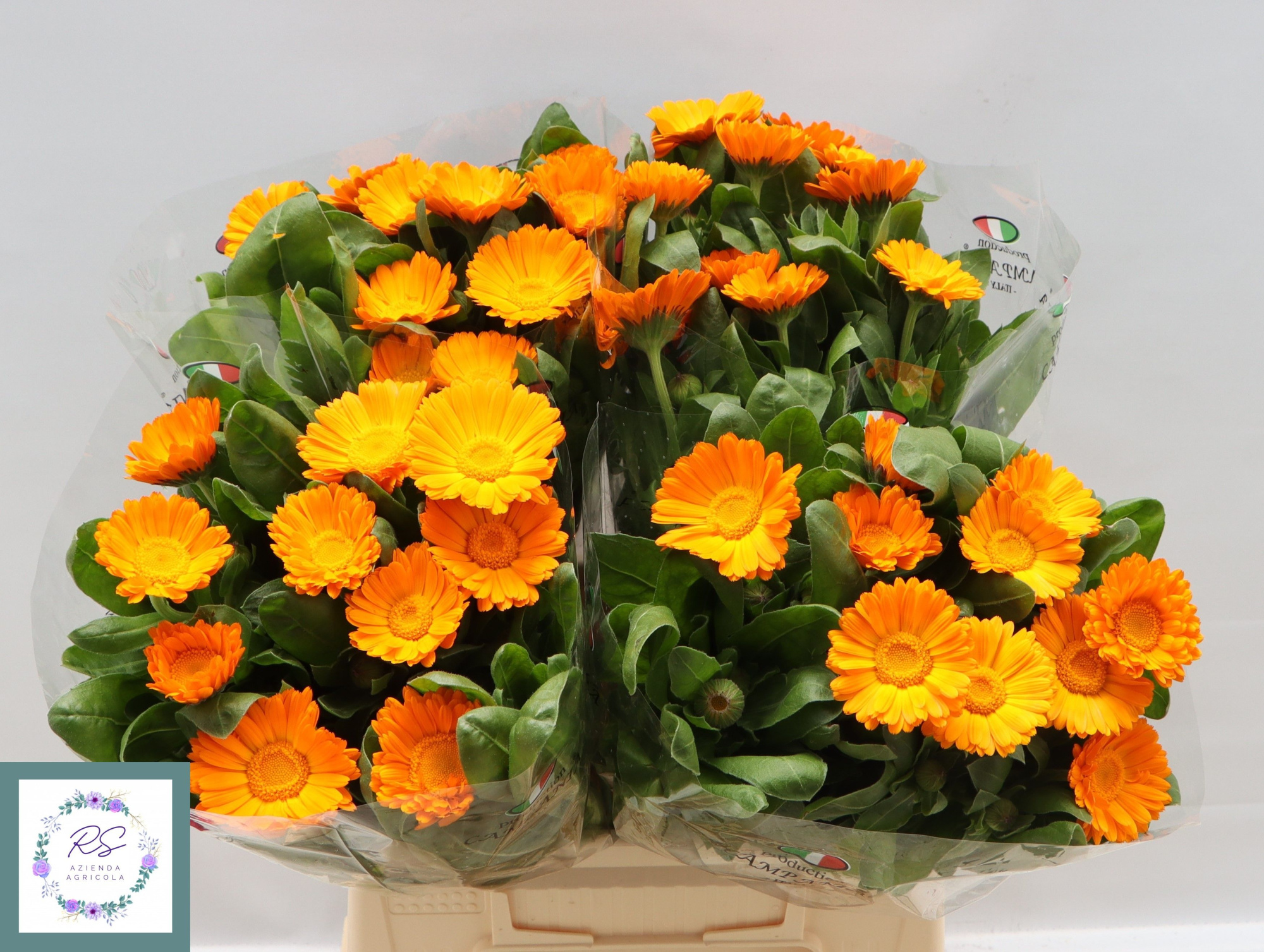 Календула Овериг 45, шт.