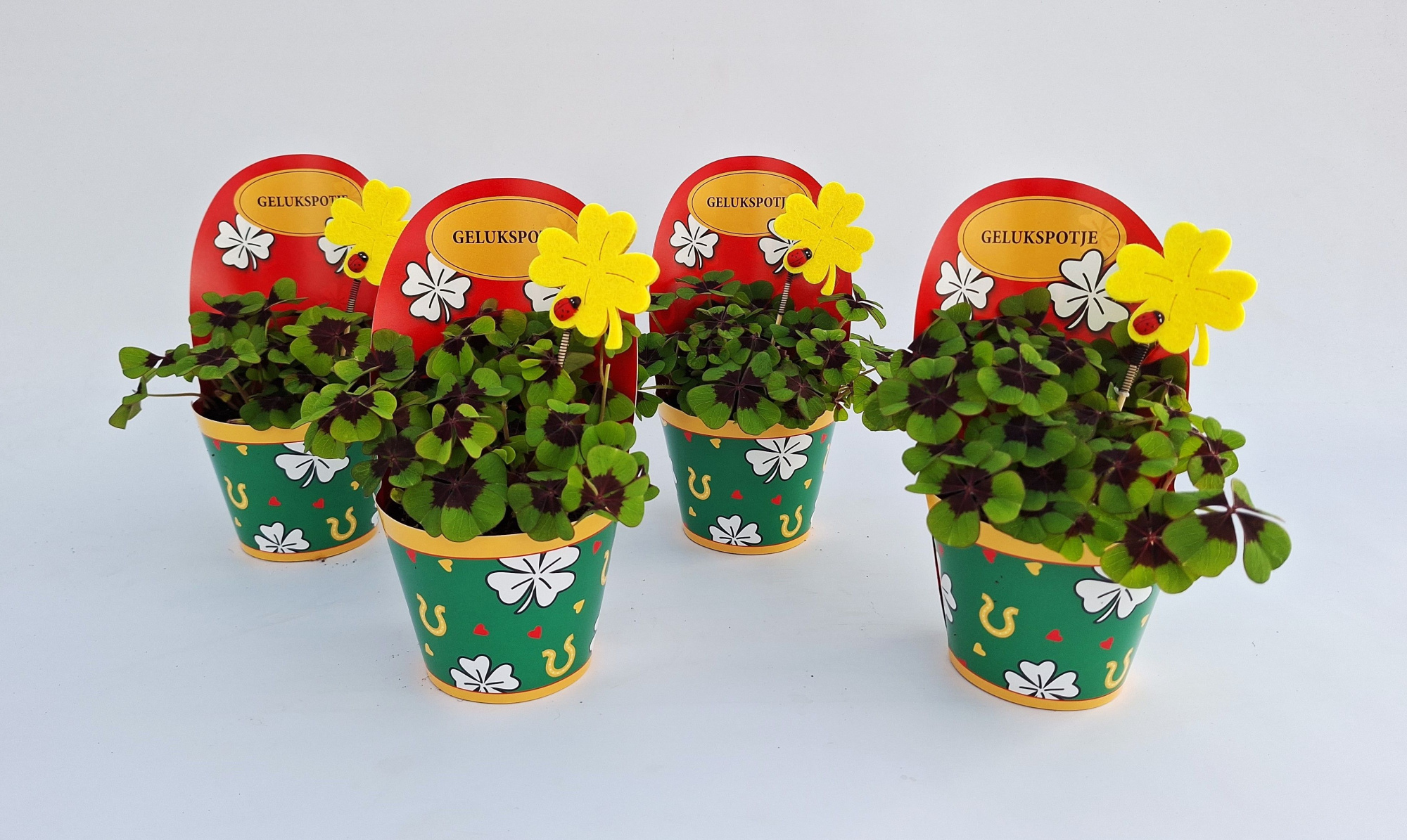 Gelukpotje Klavertje NED, D 9