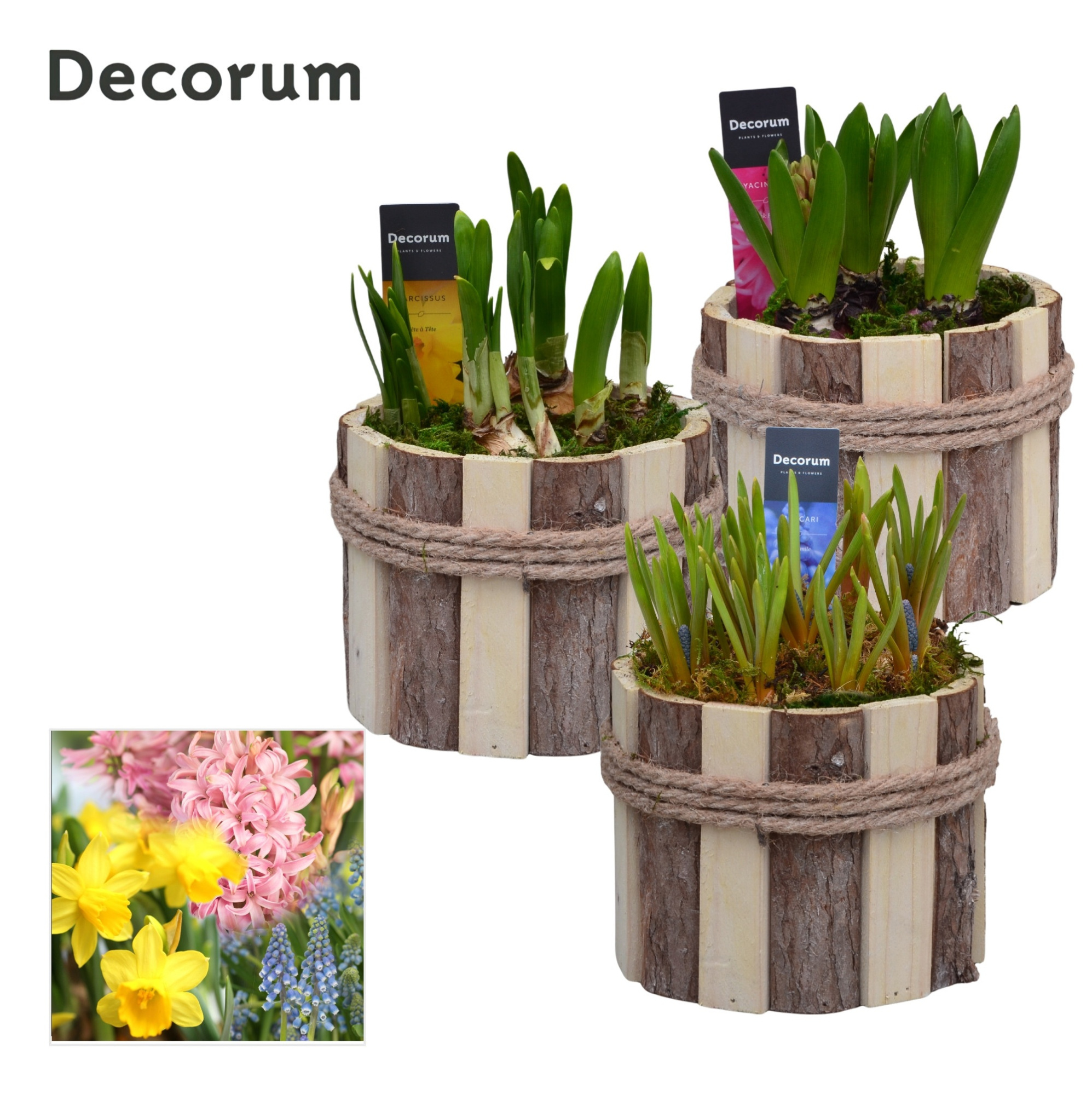 Bollenmix Tak Rond HL17763B, D 14