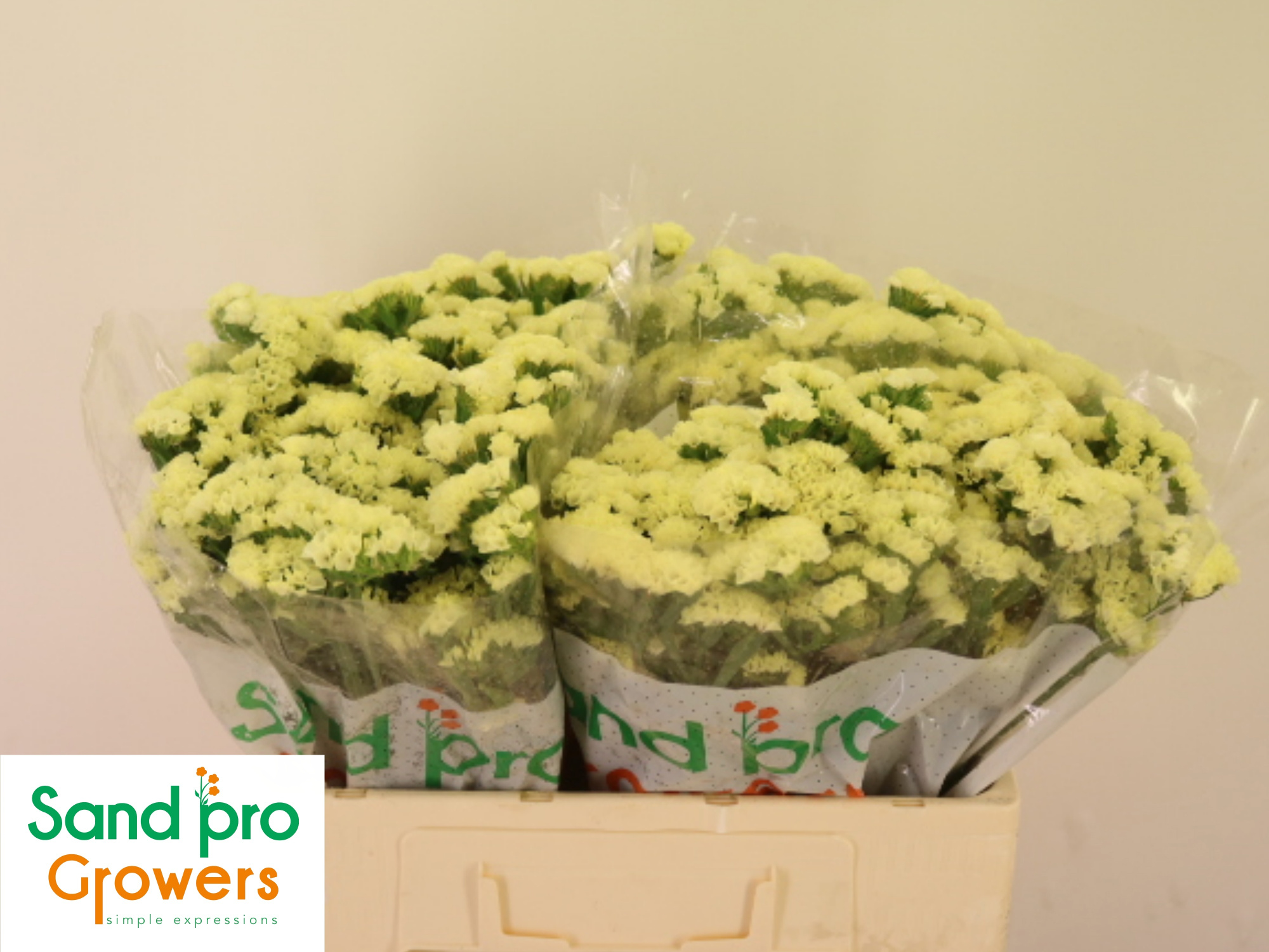 Статица Старлайт Вингз 50, шт.