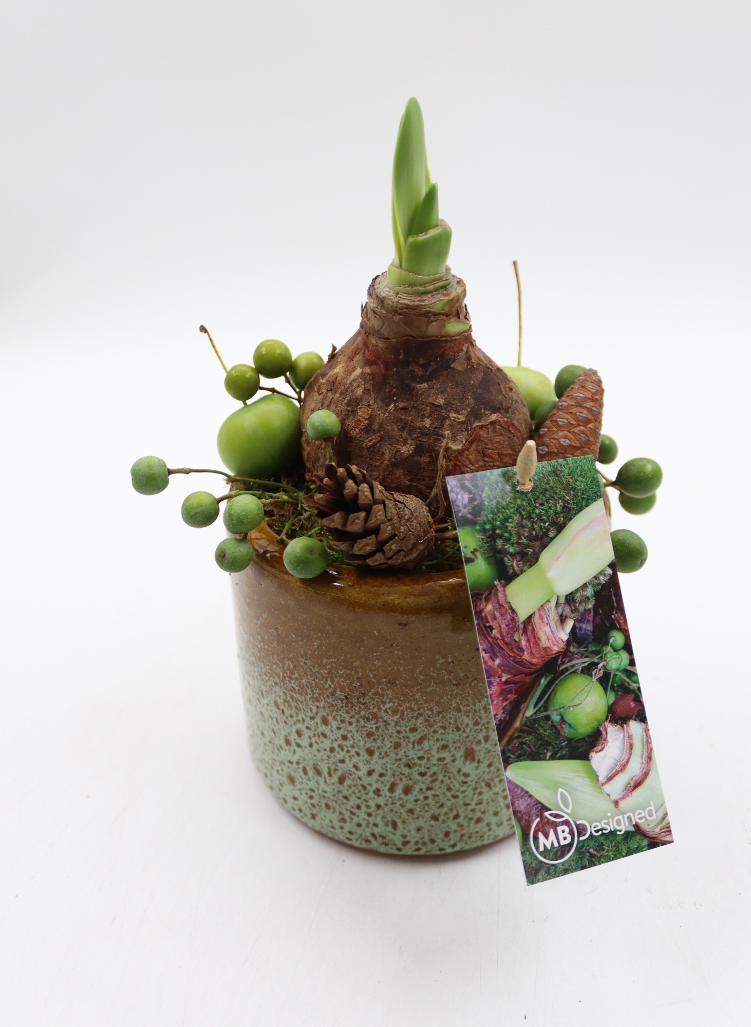 Amaryllis, luxe keramiek cilinder, D 13 cm