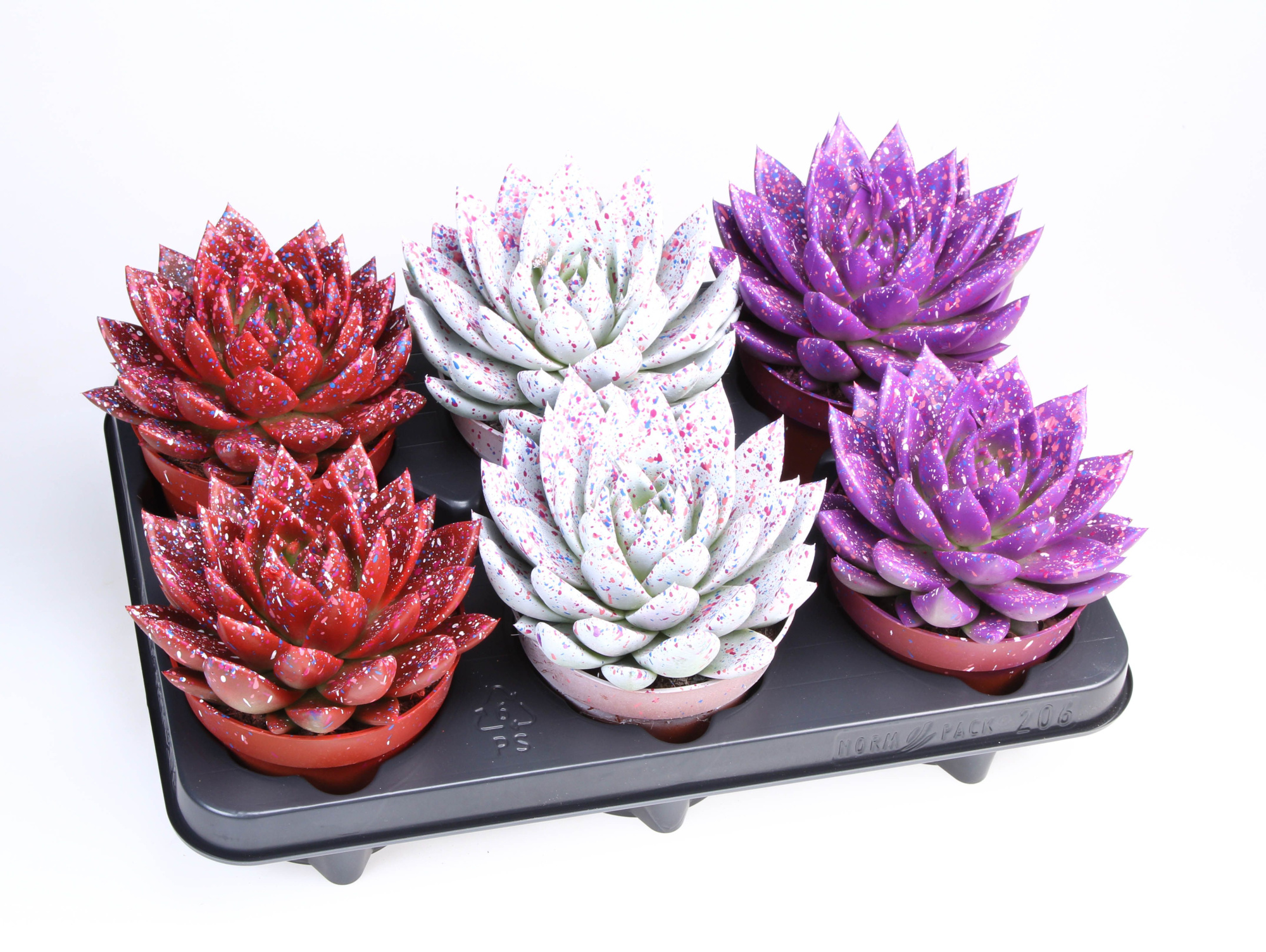 Miranda sprinkle love mix, D 12 cm