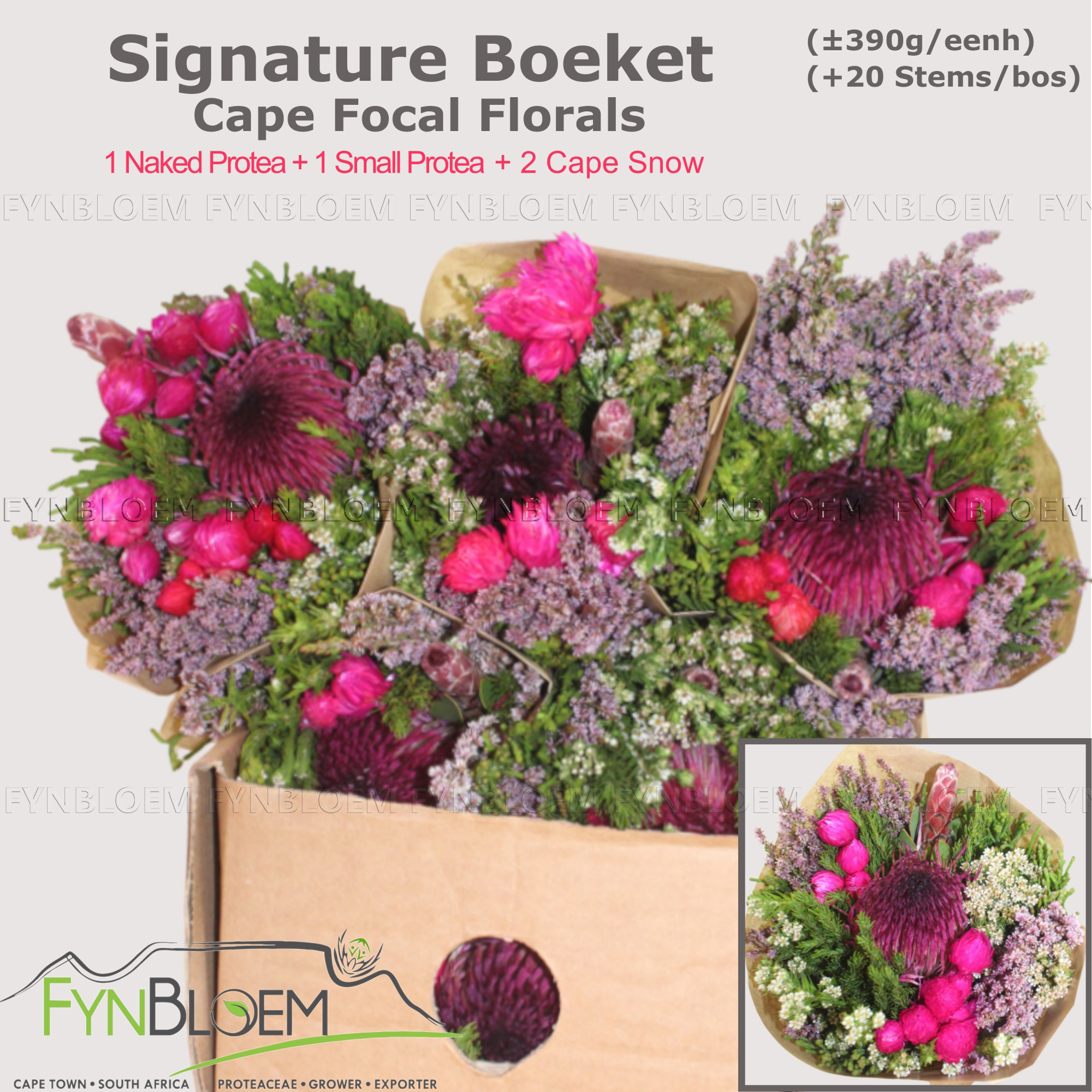 Протея Овериг за пучок 50, пуч.