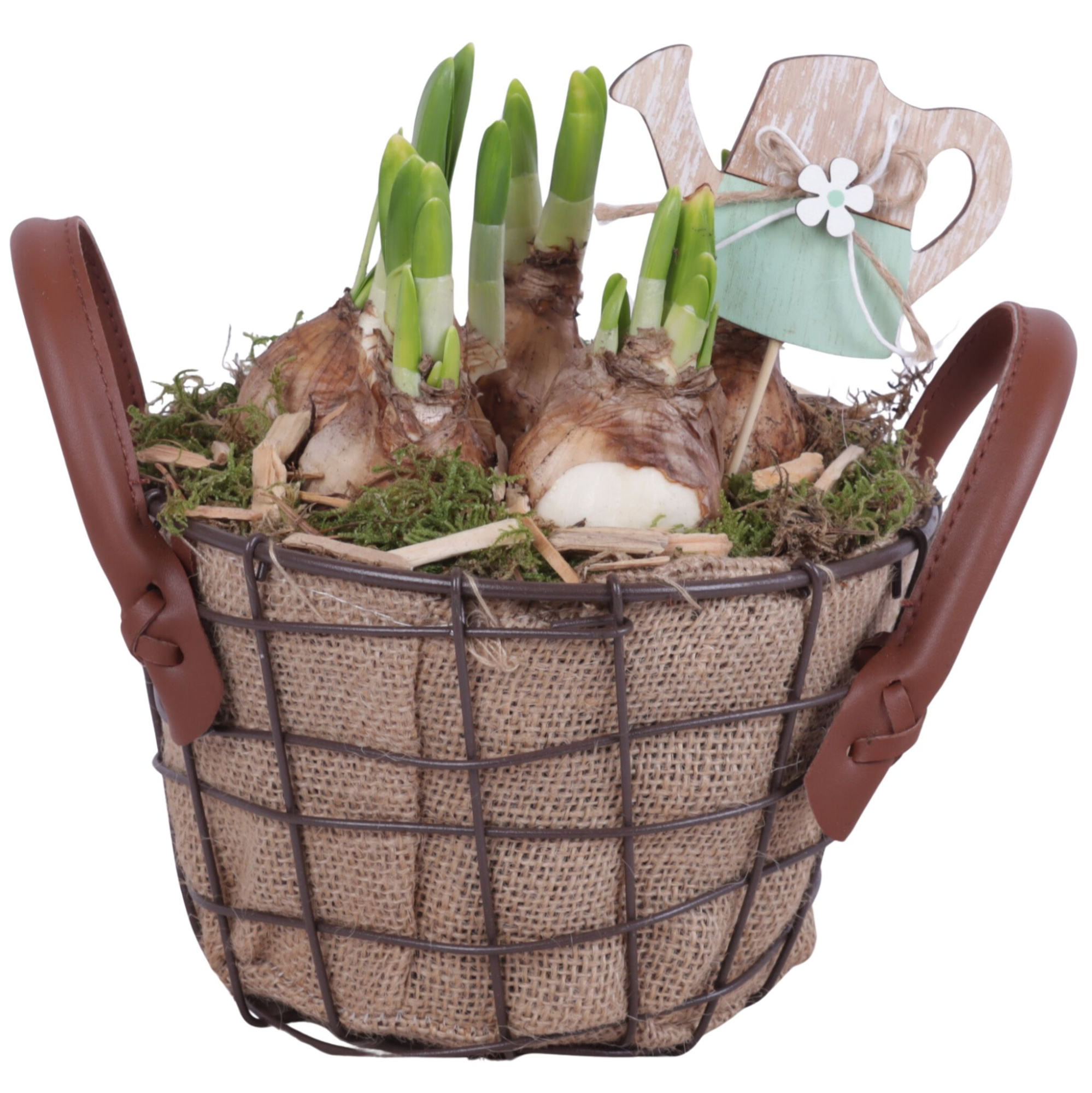 Bulbs Arr. Narcis Metal Wire Basket Jute Ø17cm, D 17