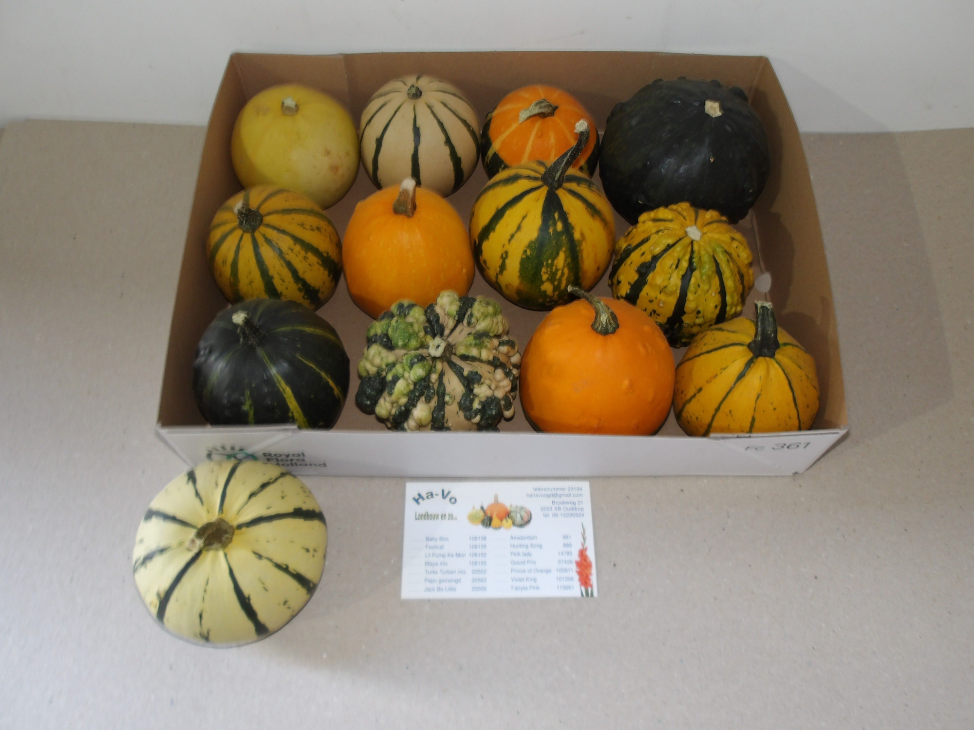 Кукурбита Микс x12, шт.