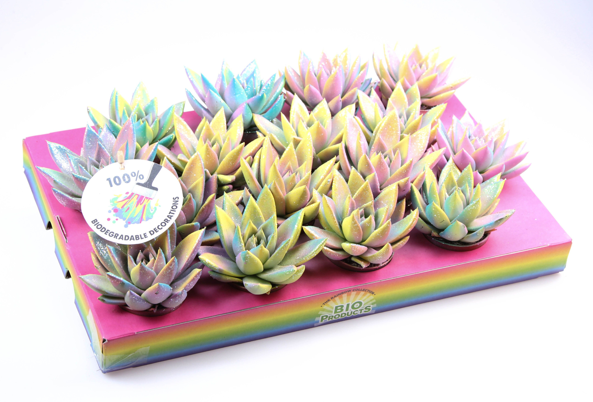 Miranda multi glitter mix, D 6 cm