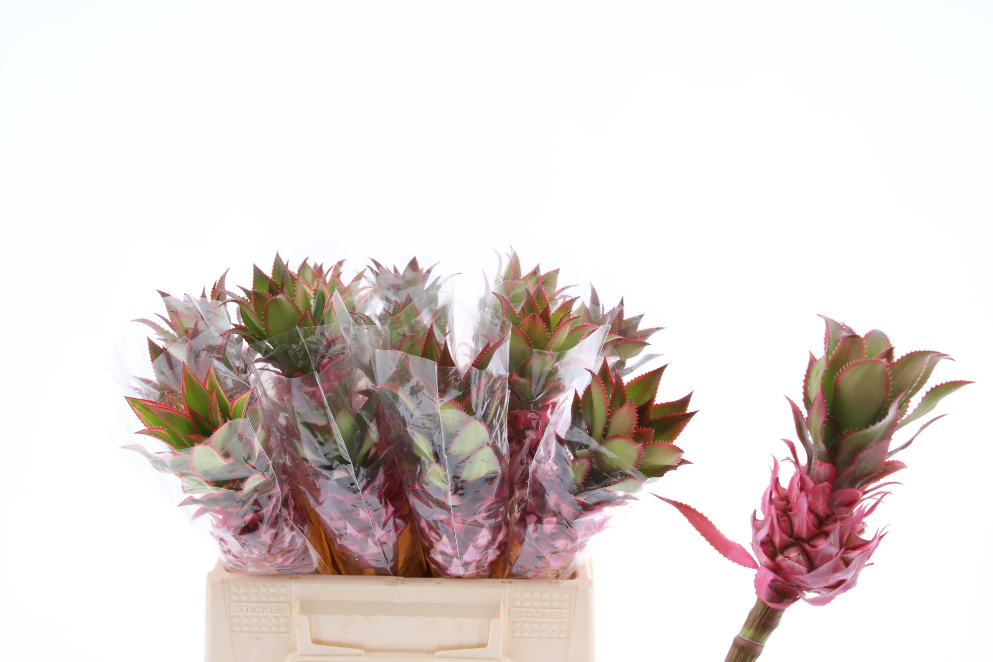 Ананас Овериг 45, шт.