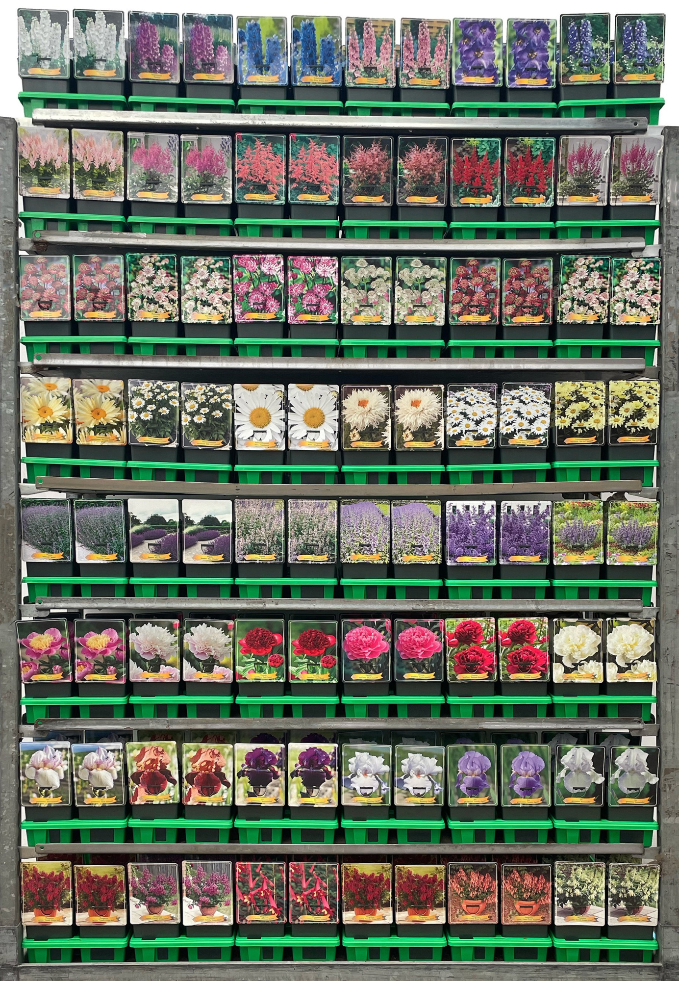 Vaste planten Mix CC 3 P11, D 11