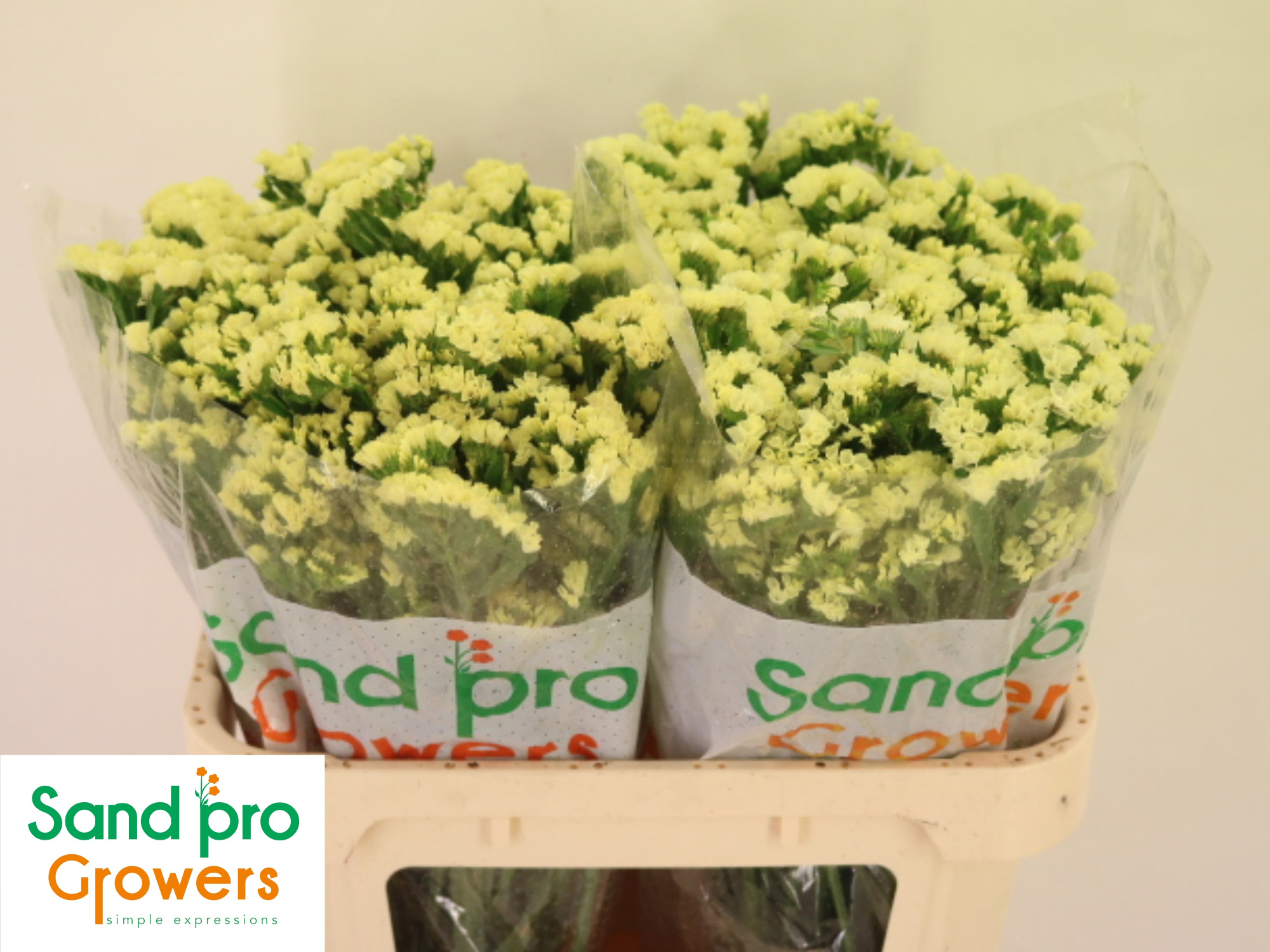 Статица Старлайт Вингз 70, шт.