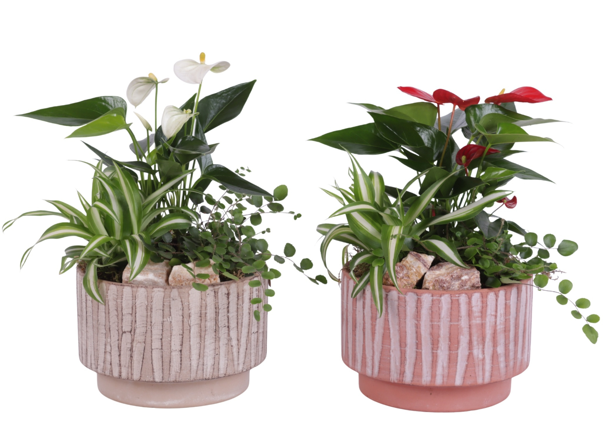 Yearround Arr. Indoor Ceramic Natural Touch NT667 Ø17cm 3PP, D 17