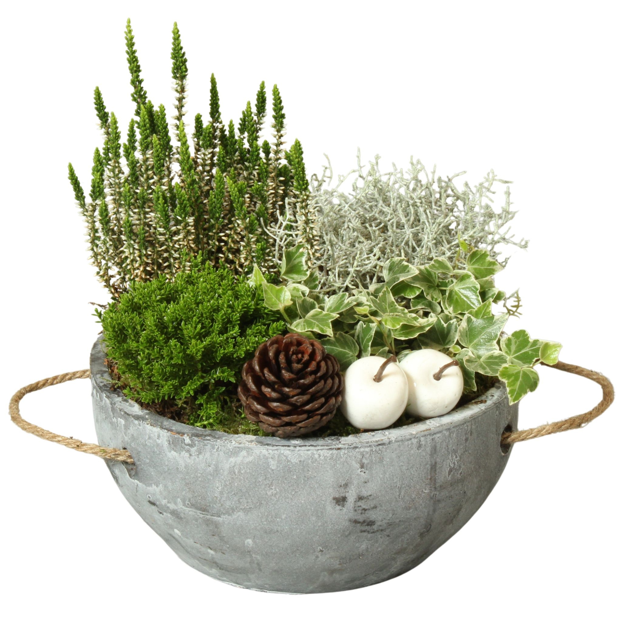 All Saints Arr. Outdoor Ceramic Pot with Rope Handle Ø24cm, D 24 cm