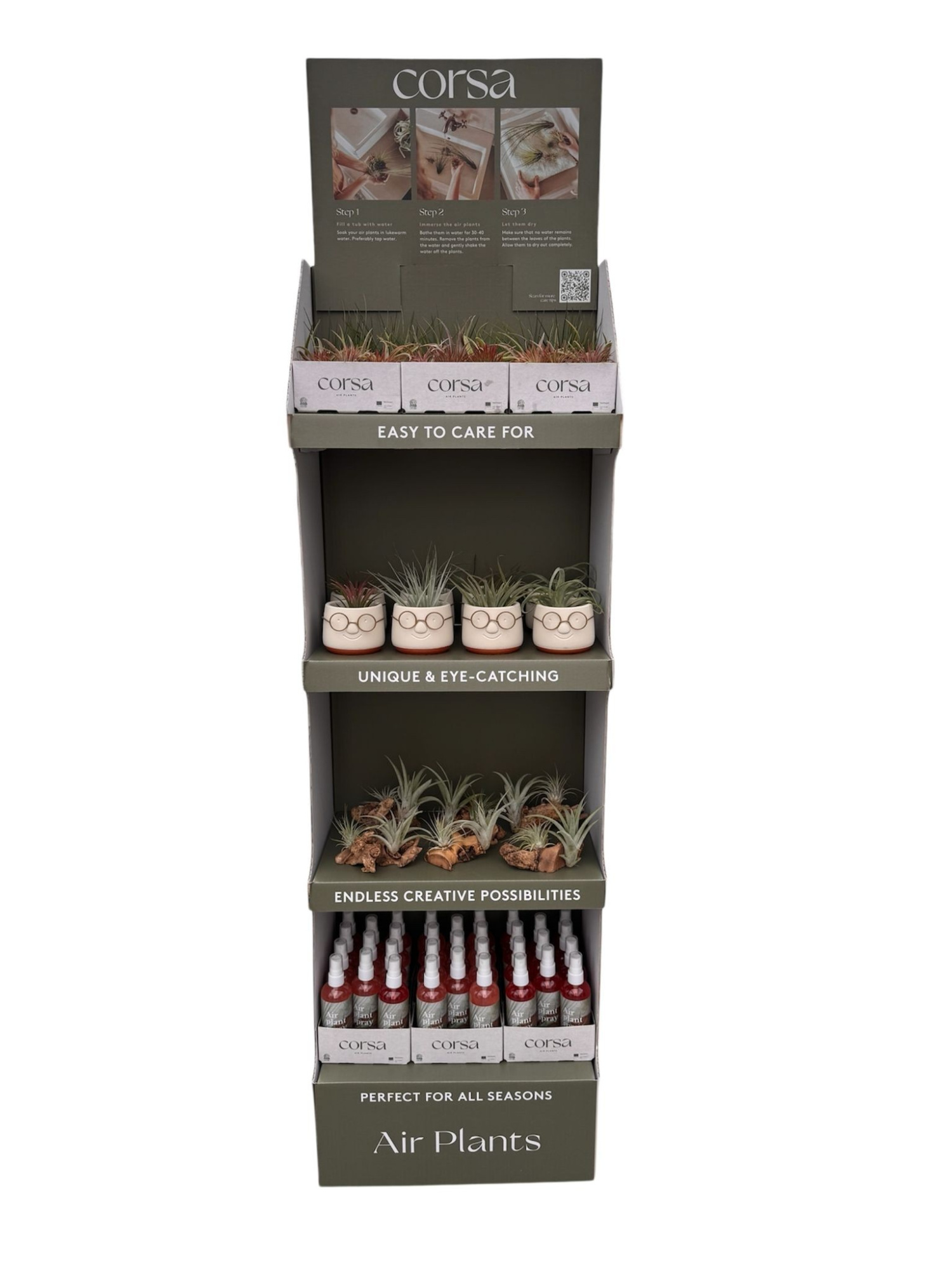 Tillandsia display Losse planten en arrangementen, D 30