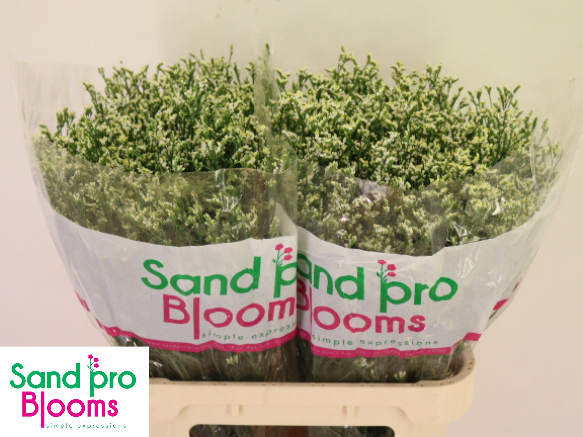 Лимониум Кул Даймонд 80, шт.