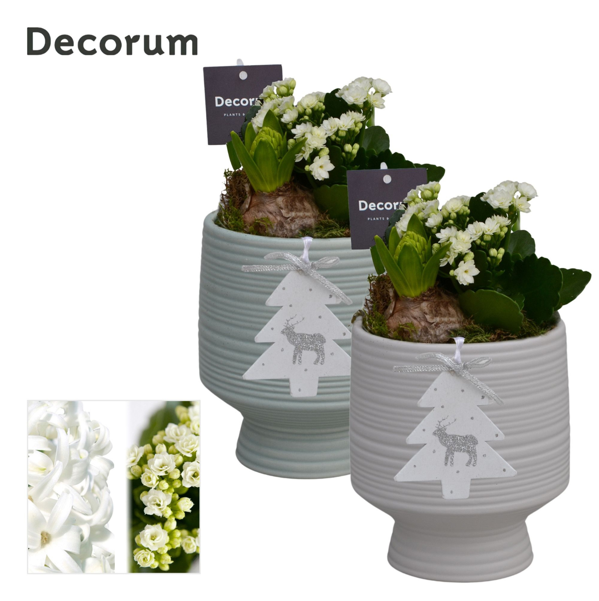 Calandiva & Hyacint Pot sur Pied HL24962WP [BLACK & WHITE], D 13