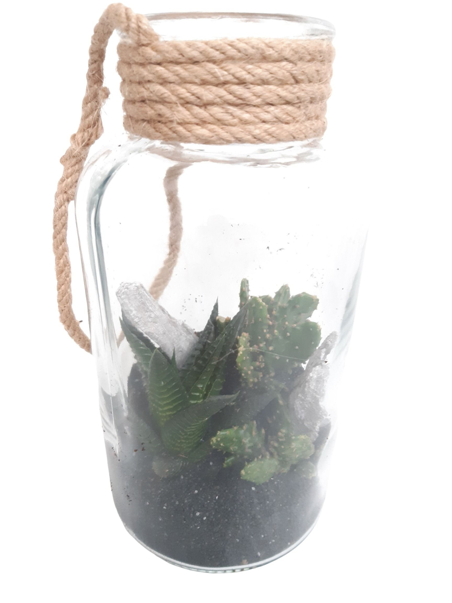 709 BS Fles10/20 Terrarium Succulentmix Black Sand Deco, D 10 cm