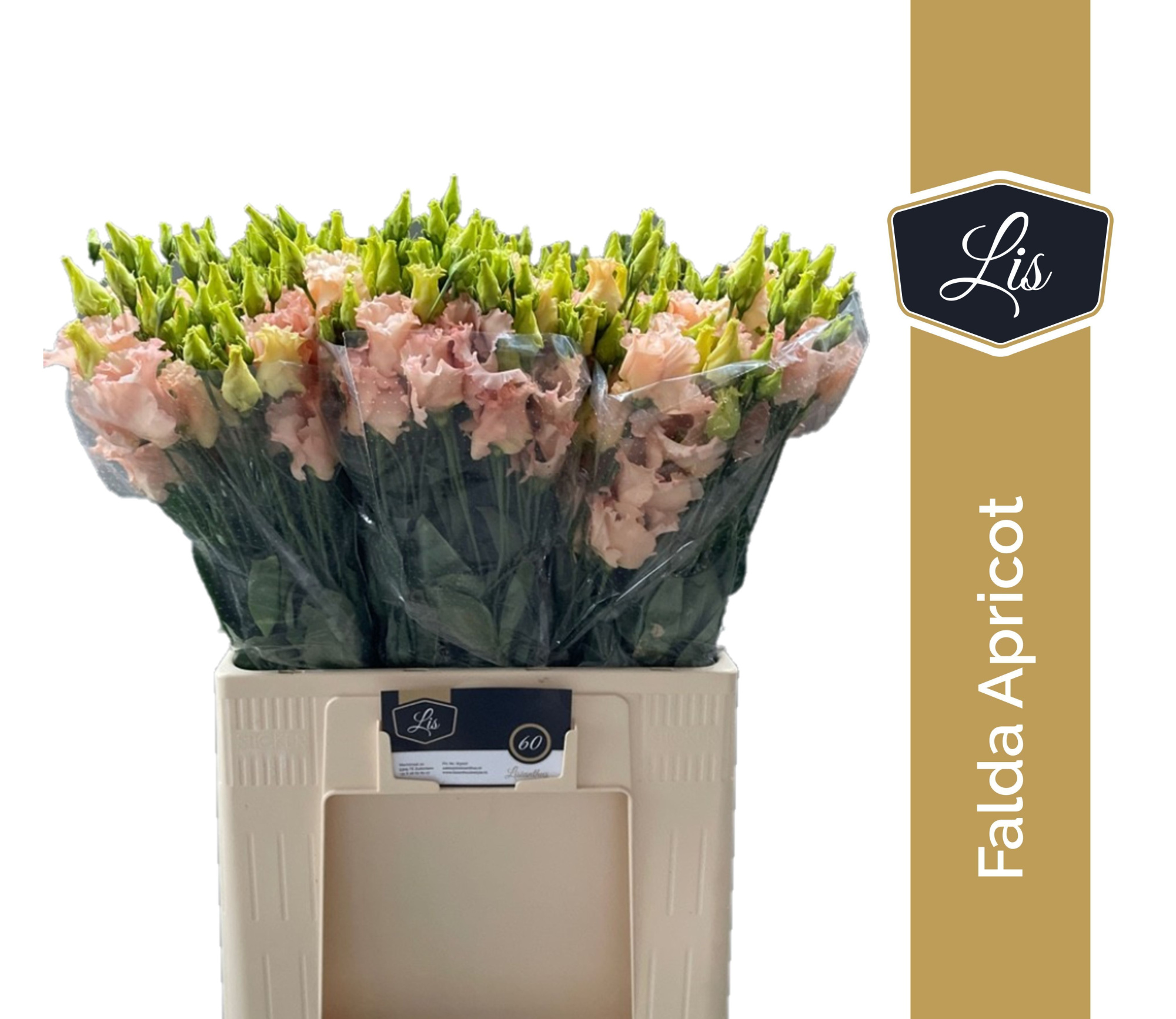 Эустома Фалда Априкот 65 (светло-роз.), шт.