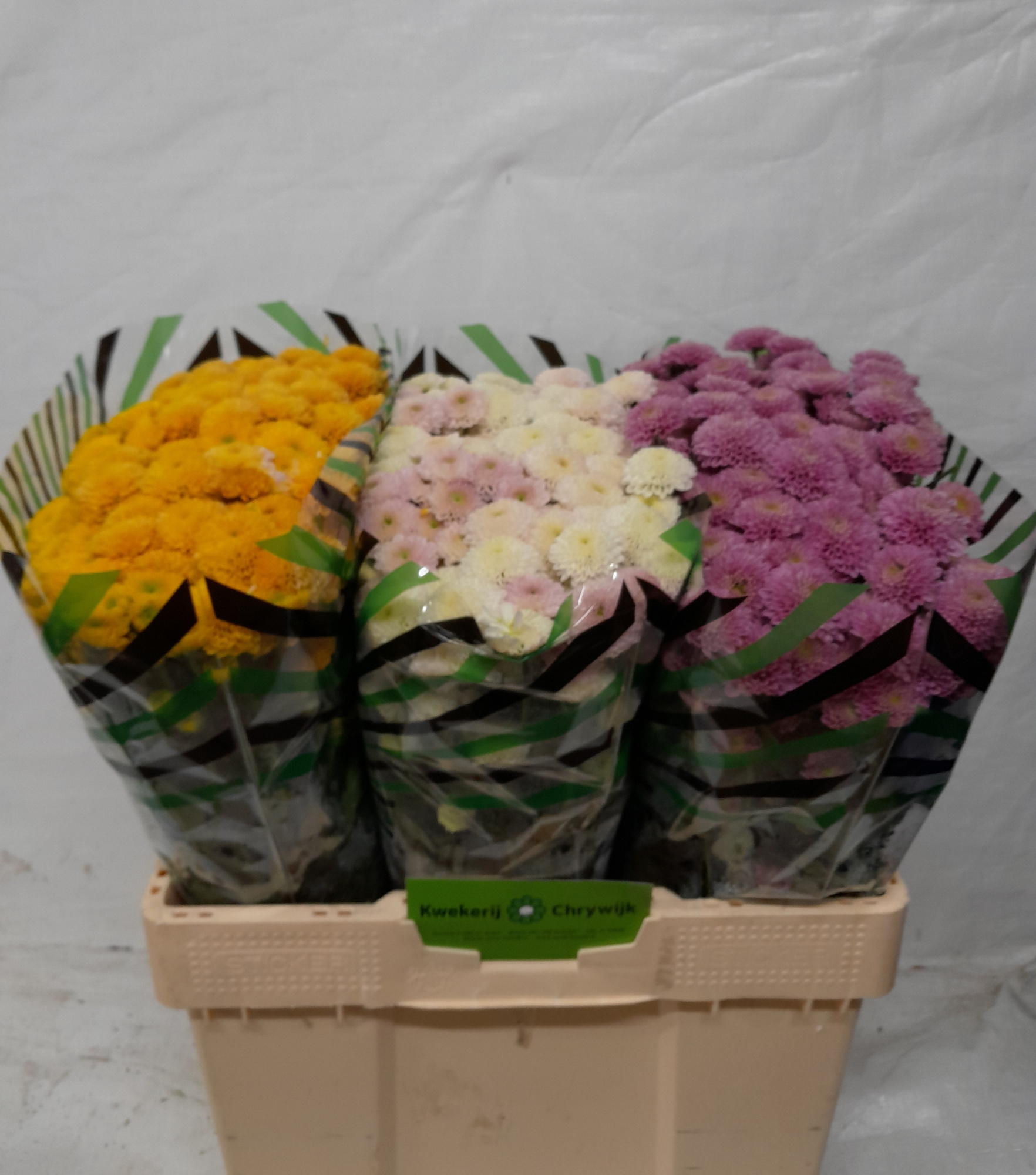 Сантини Микс в баке, шт.