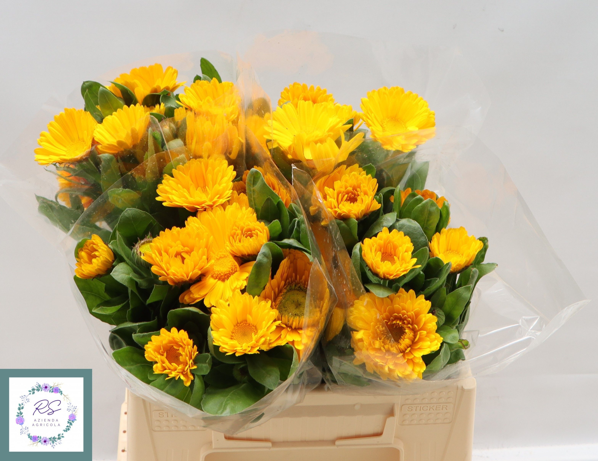 Календула Овериг 35, шт.