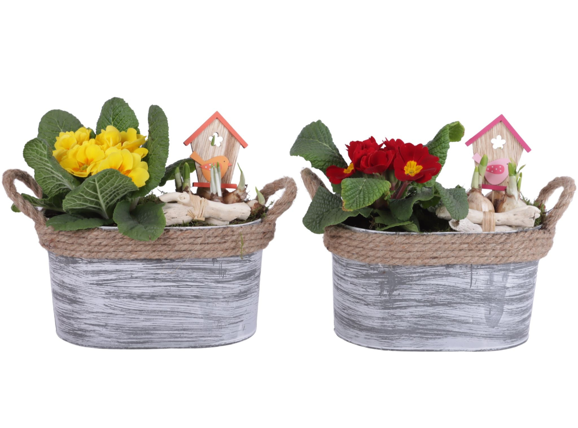 Early Spring Arr. Outdoor Zinc Pot Oval Rope Ø23cm 2PP, D 23