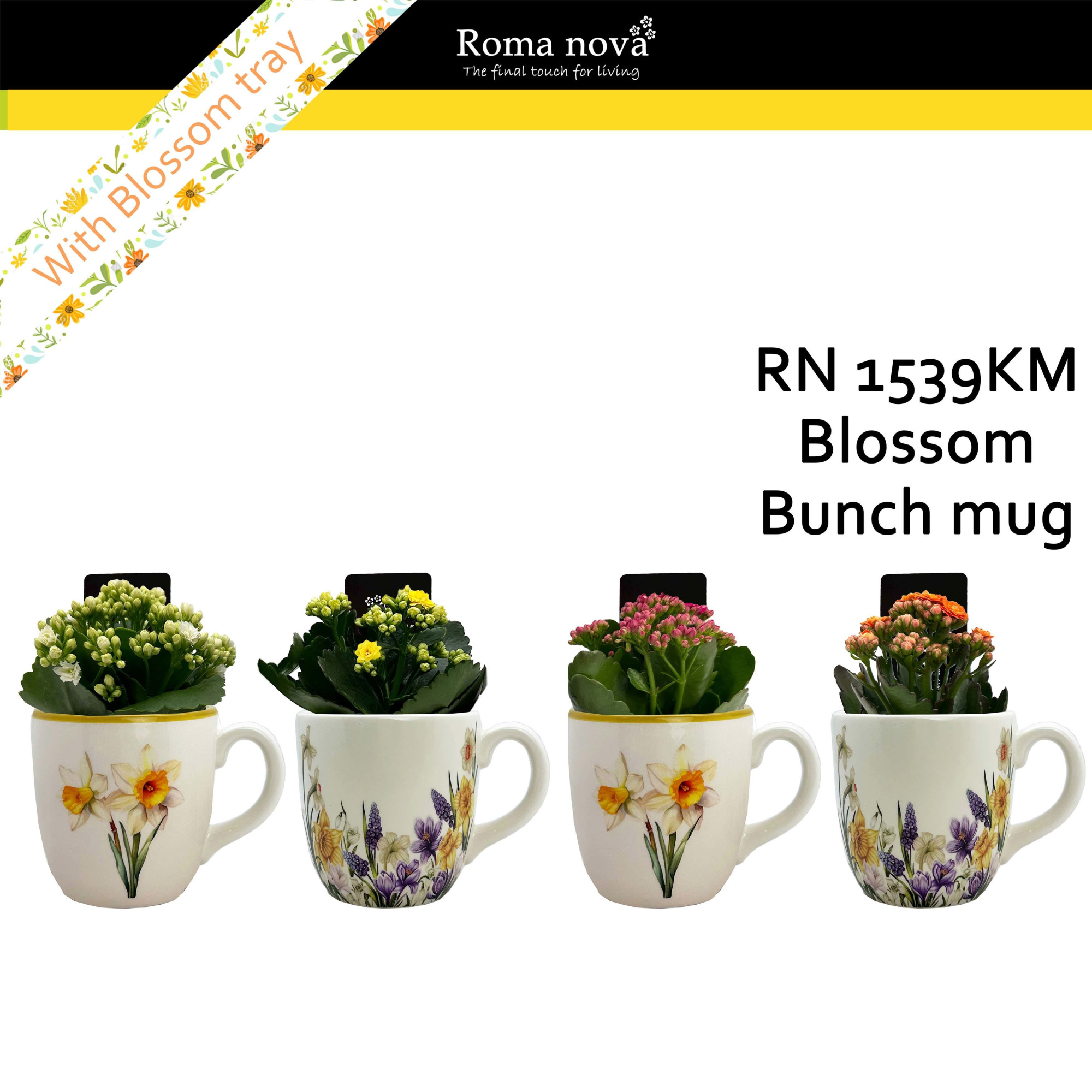 1539KM - Blossom Bunch Mug (Kalanchoe mix), D 14