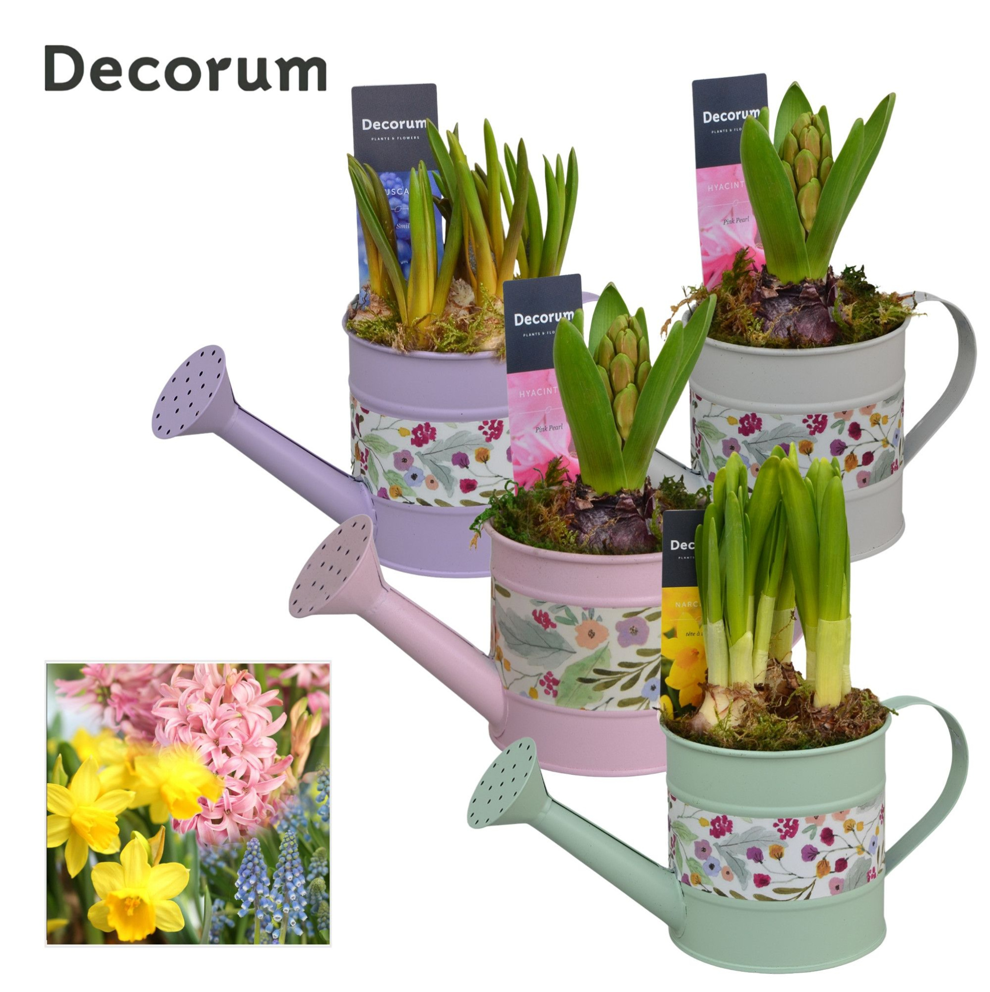 Bollenmix Watering can Flowers HL14023B, D 10