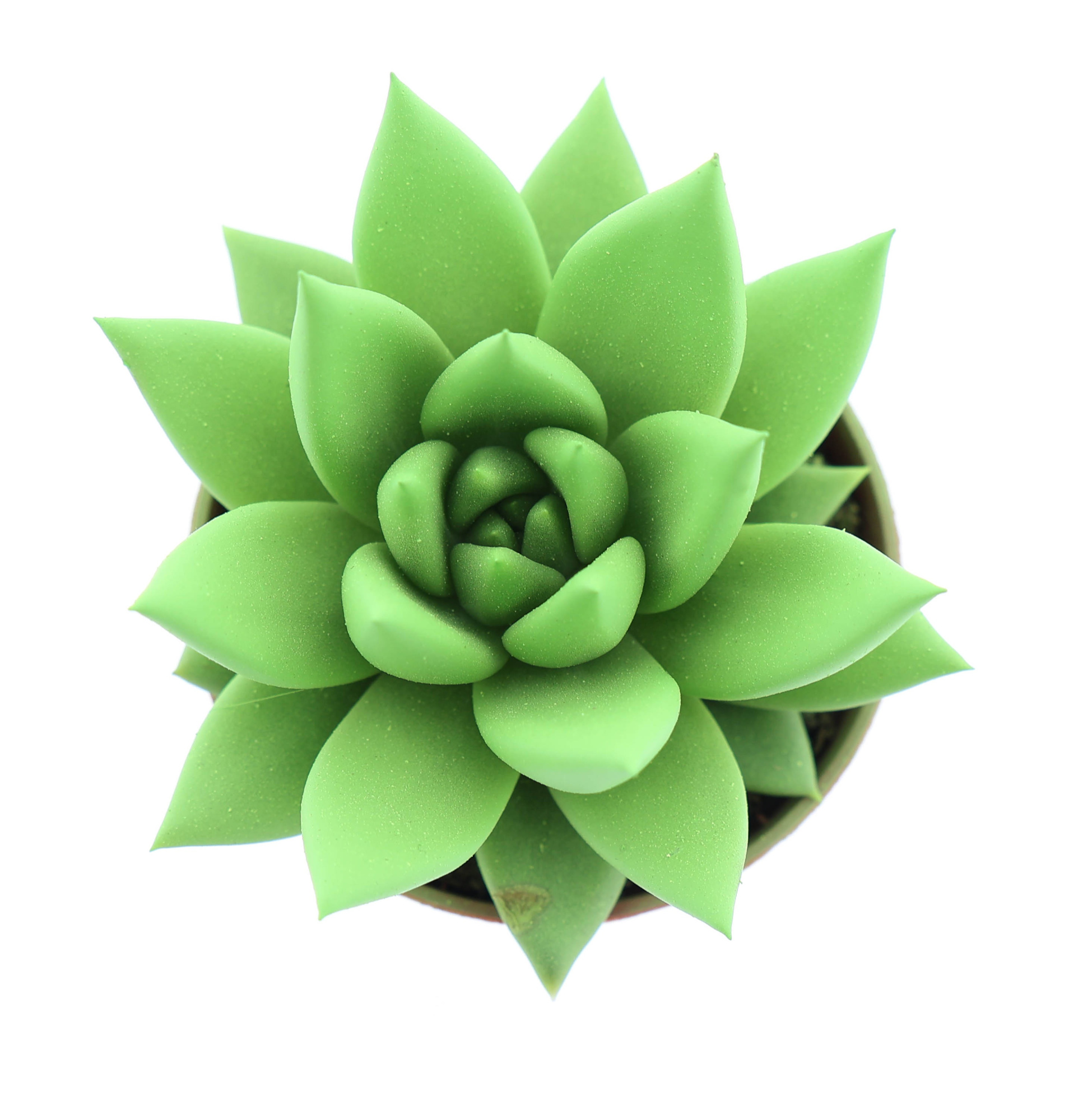 Rainbow bright green, D 5,5 cm