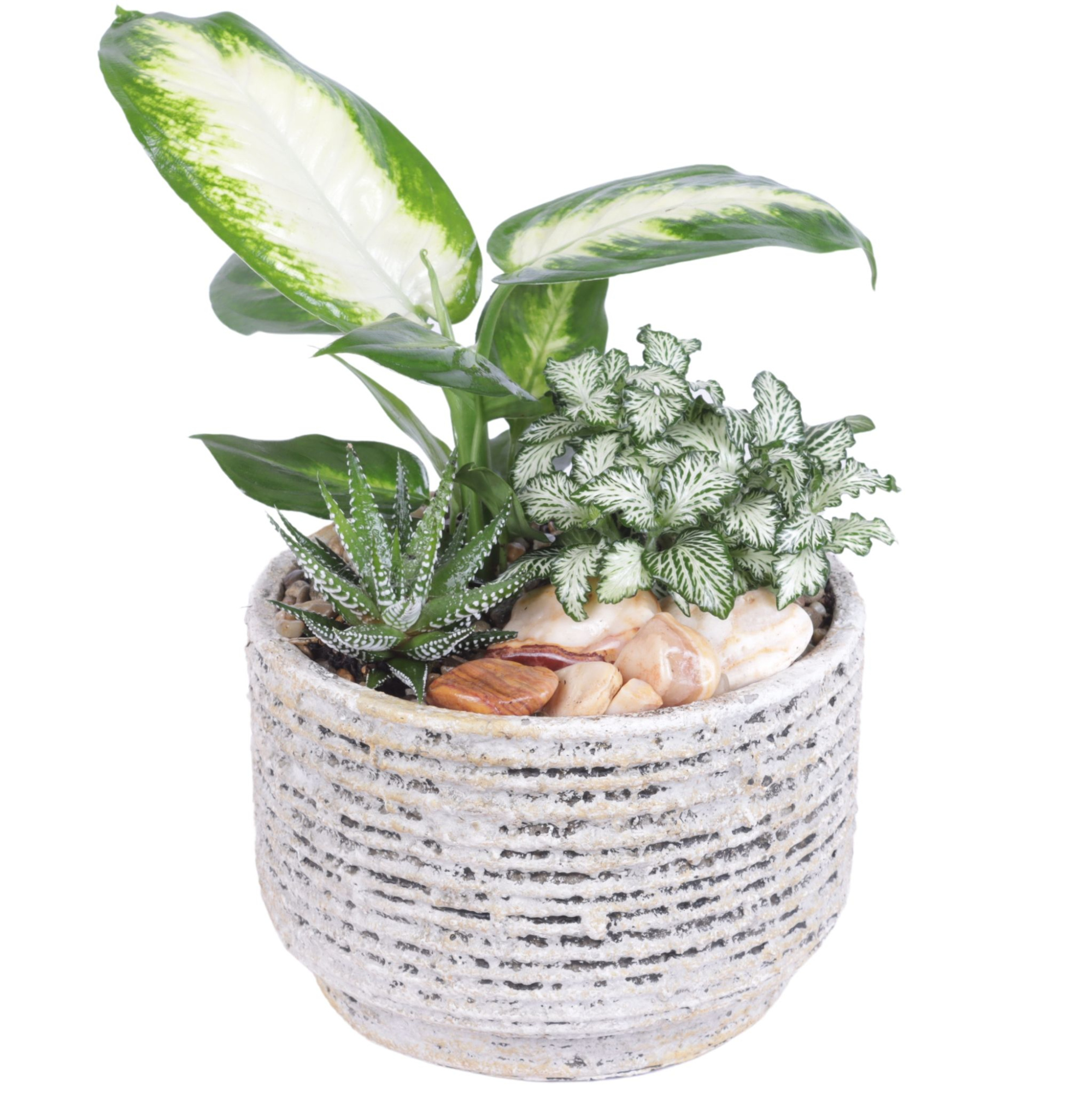 Yearround Arr. Indoor Ceramic Naturel Touch N567 Ø17cm 3PP, D 17 cm