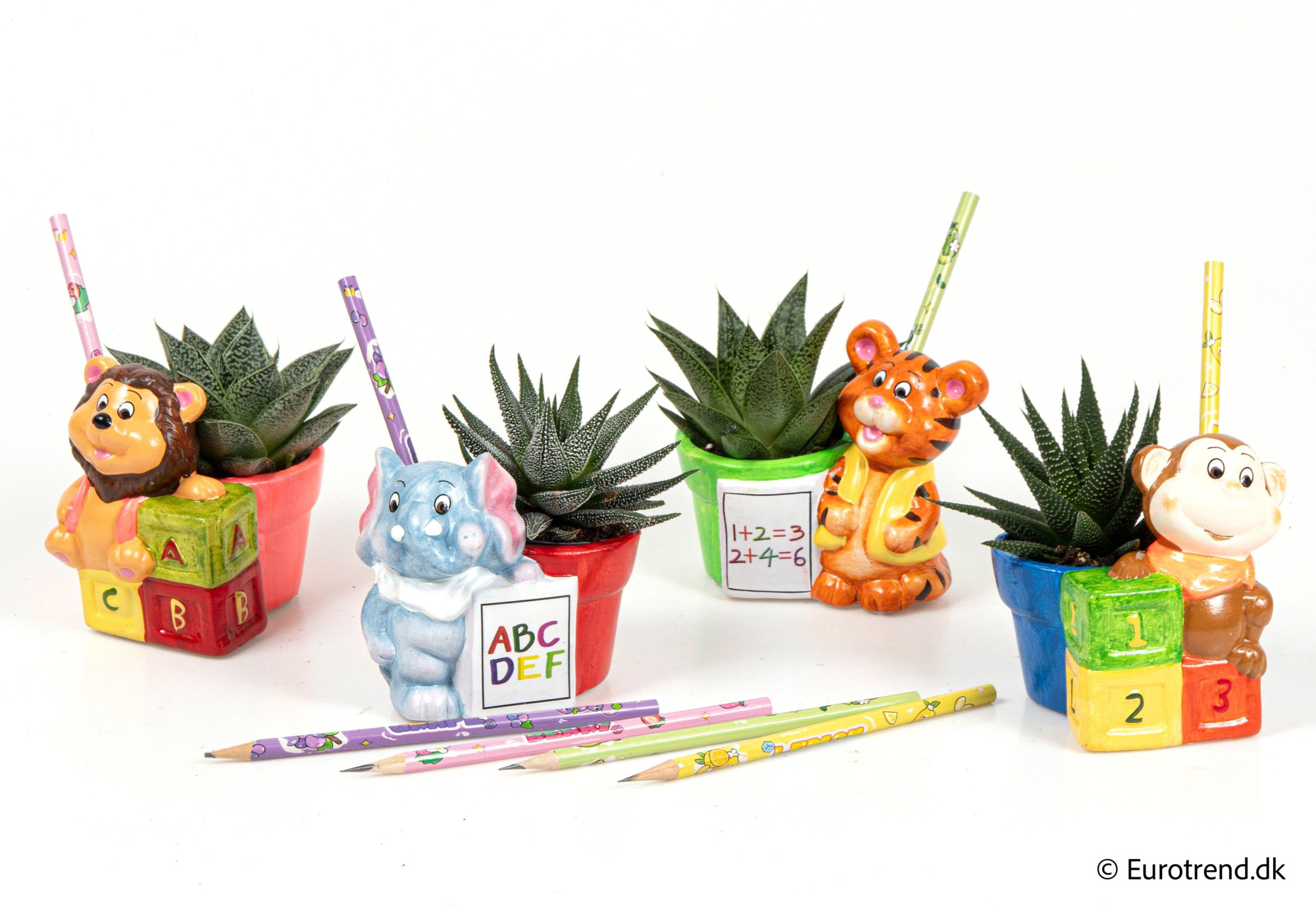 Succulent mix in animal ceramic - Spring, Summer & Autumn 2025, D 6 cm