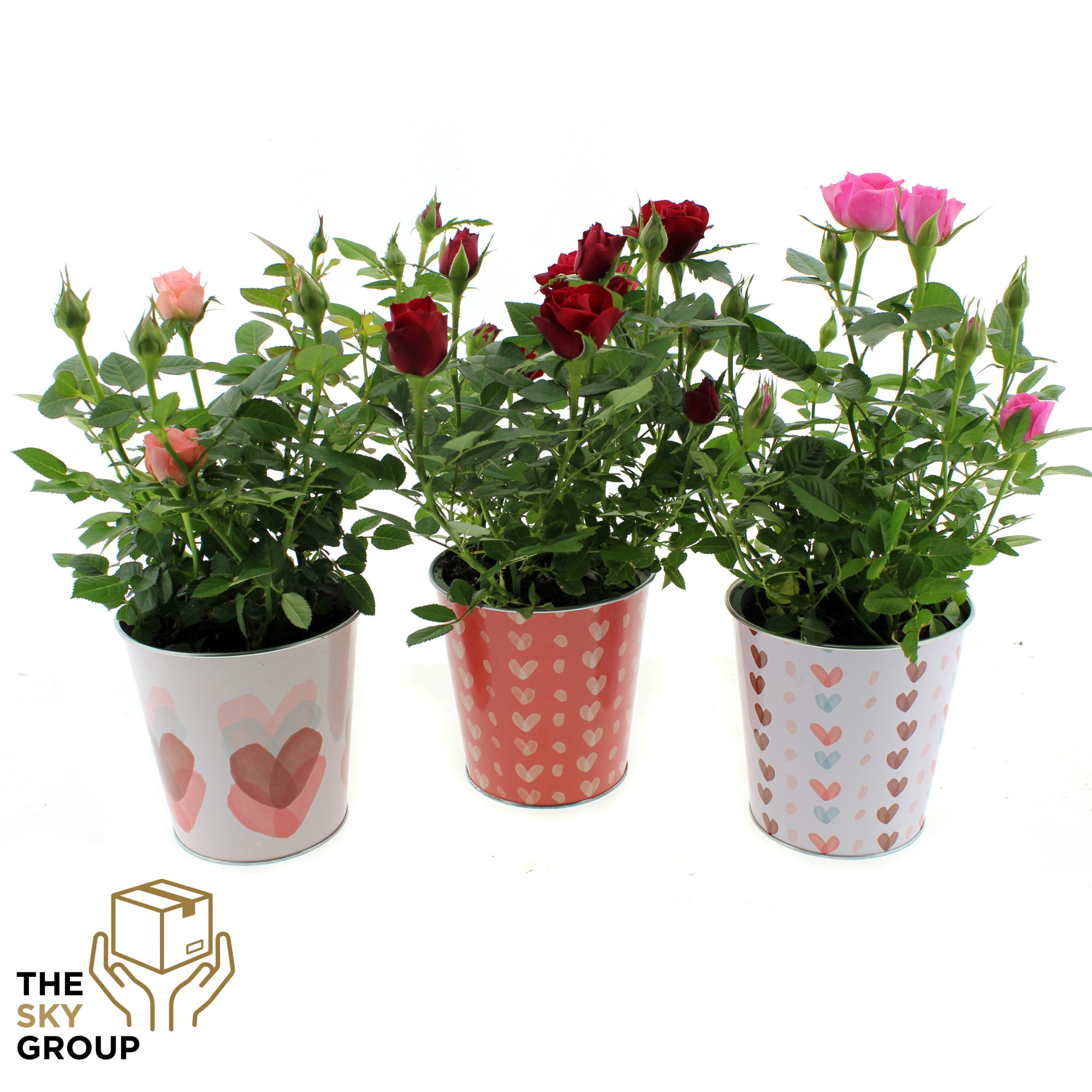 Roos 12 cm in Valentijn Zink ( 3 assorti ), D 12