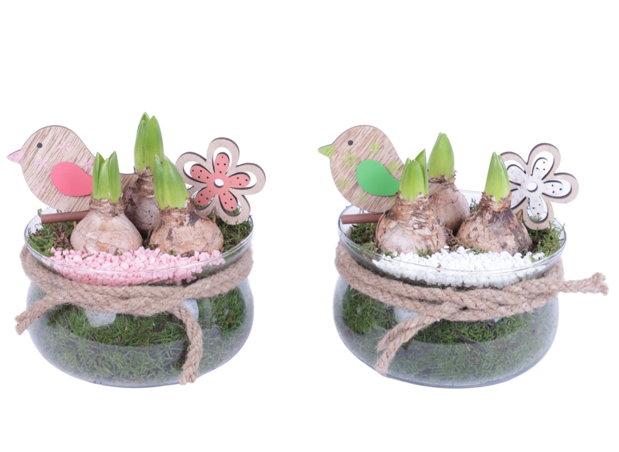 Bulbs Arr. Hyacint Glass Bowl with Rope Ø16cm 3PP, D 16