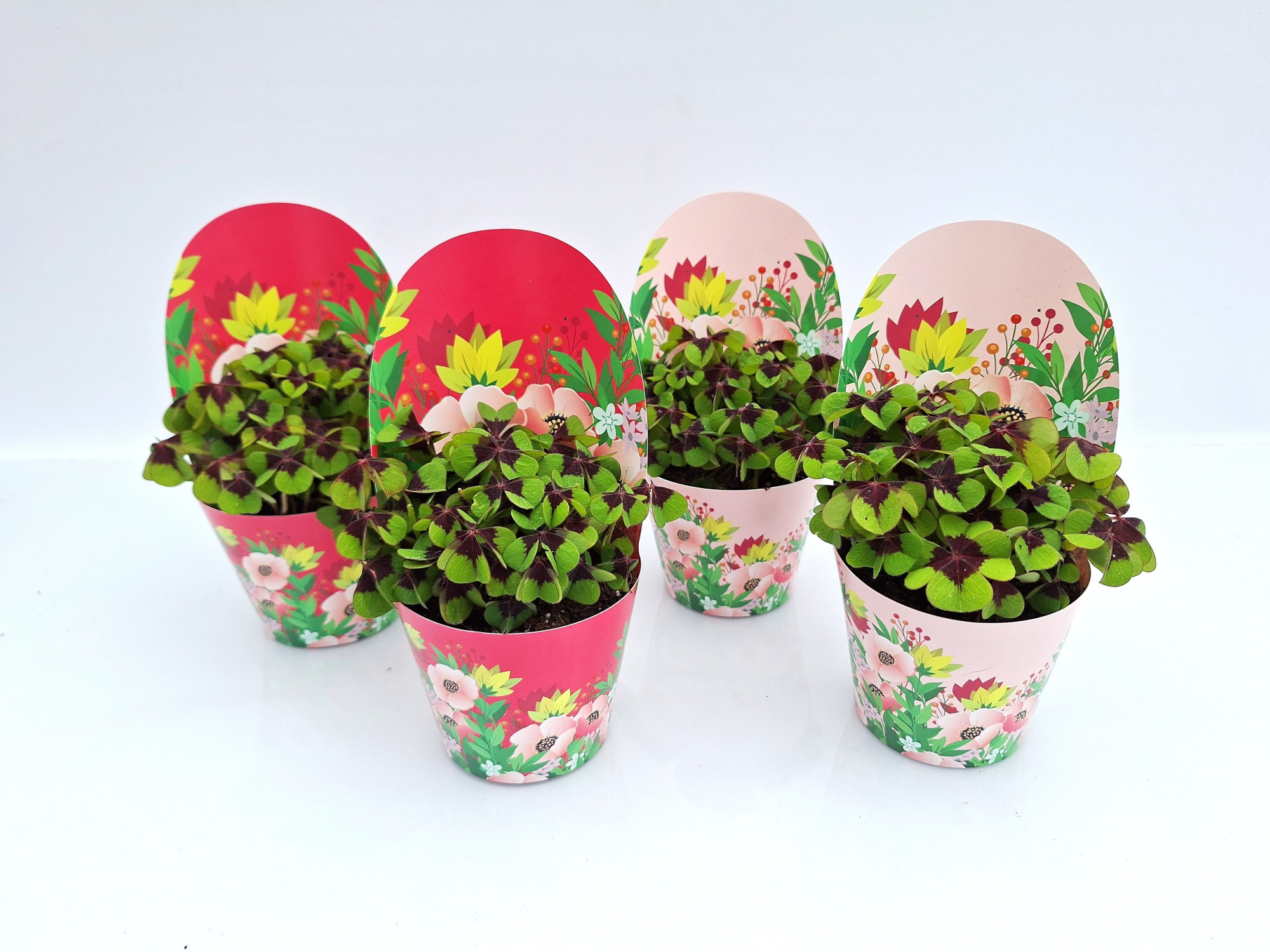 Gelukpotje Blosom, D 9 cm