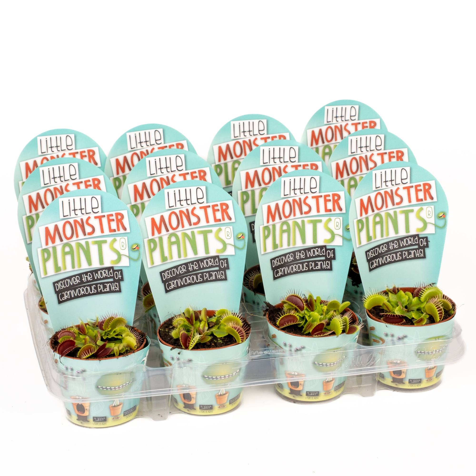 Little Monster Plants Dionaea LOS, D 8,5