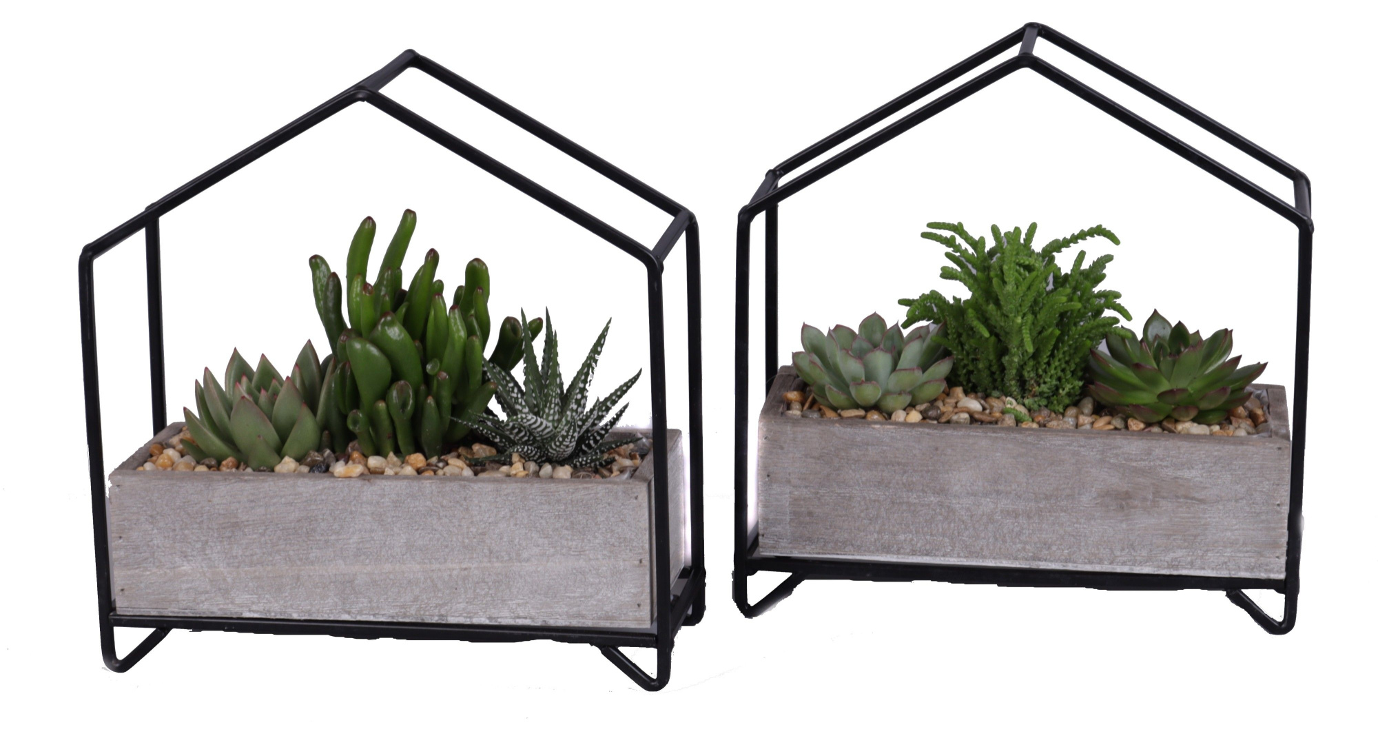 3x succulenten mix in metalen huisplanter, D 21