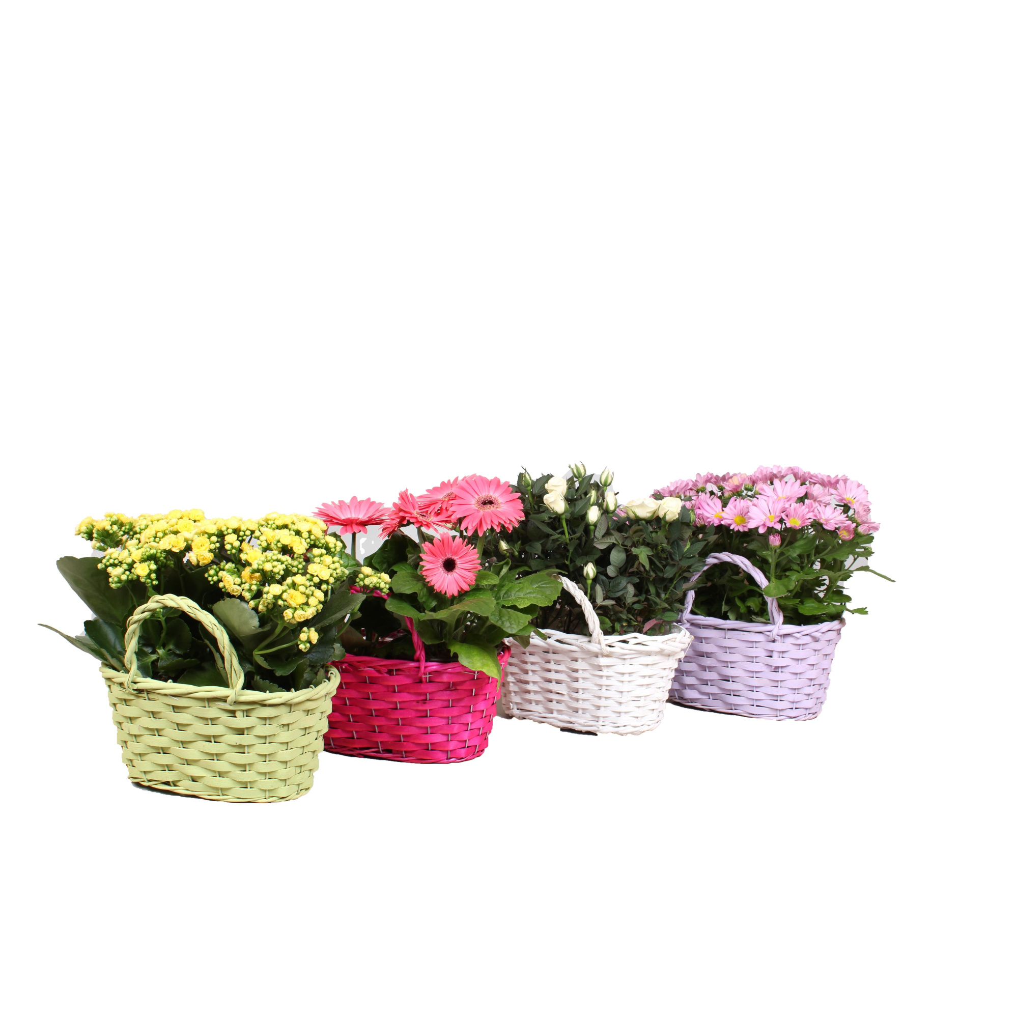 Bloeimix in Duomand, D 24 cm