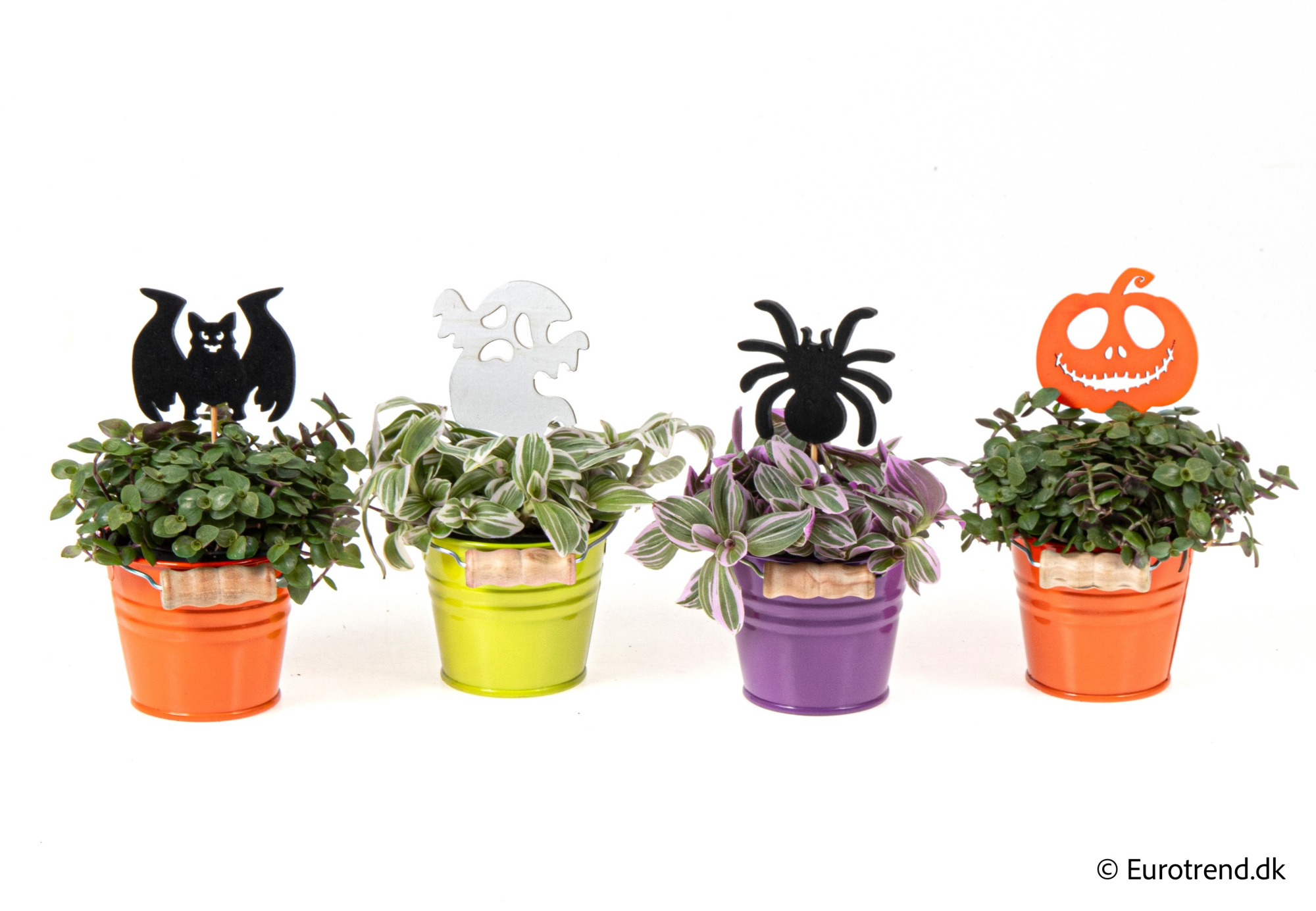 Green Mix in Halloween ceramic 2025, D 6 cm