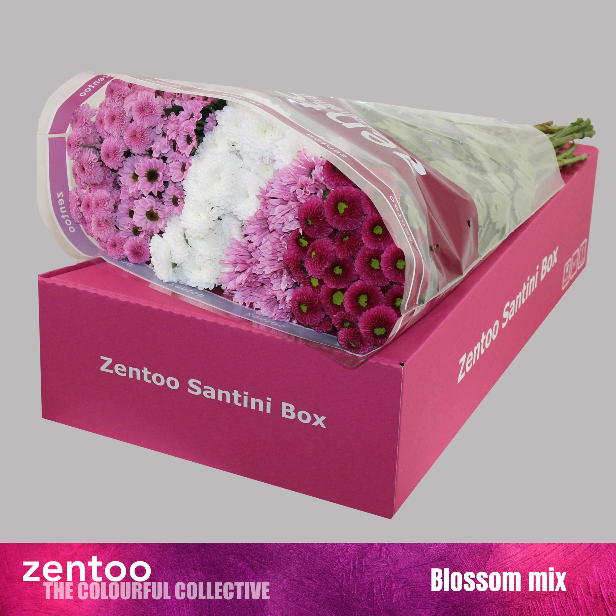 Сантини Микс, шт.