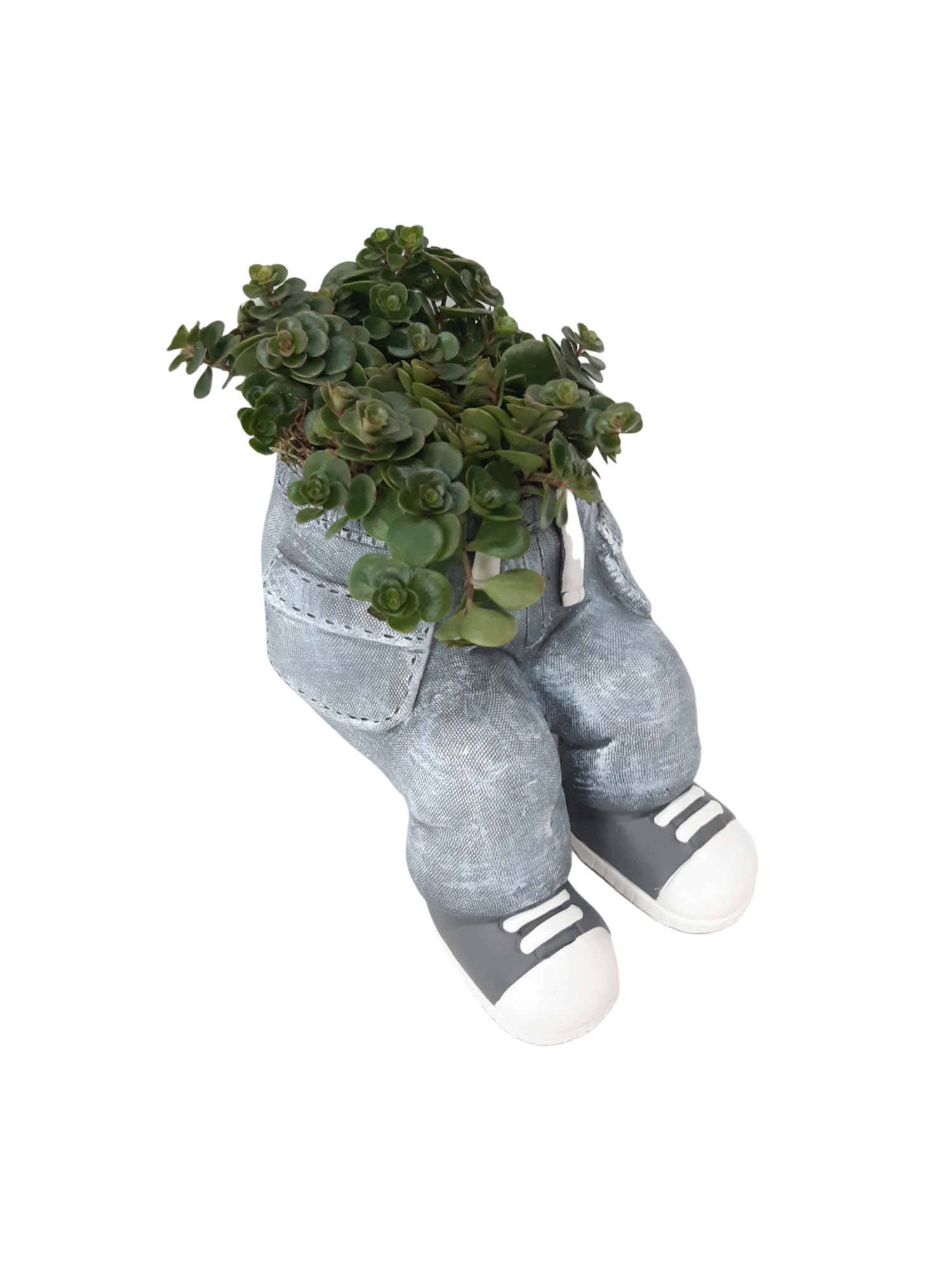 NEW 2026 JG20SIT Jeans Stting 20cm Grey Sedum Tornado, D 20