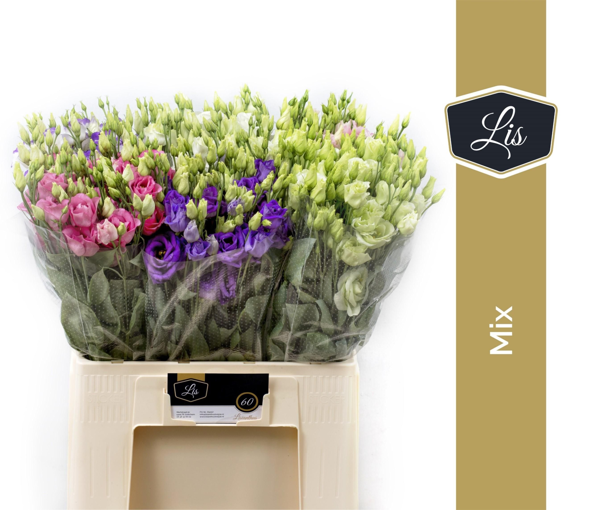 Эустома Грандифлорум Микс в баке 65, шт.