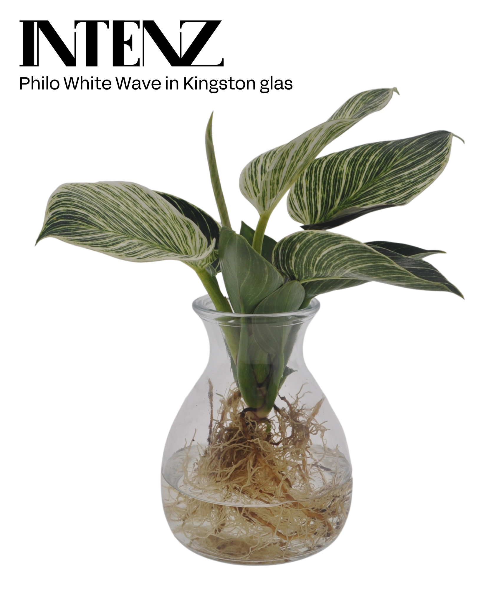 White Wave 12cm in Kingston glas - levertijd: 24 uur, D 12